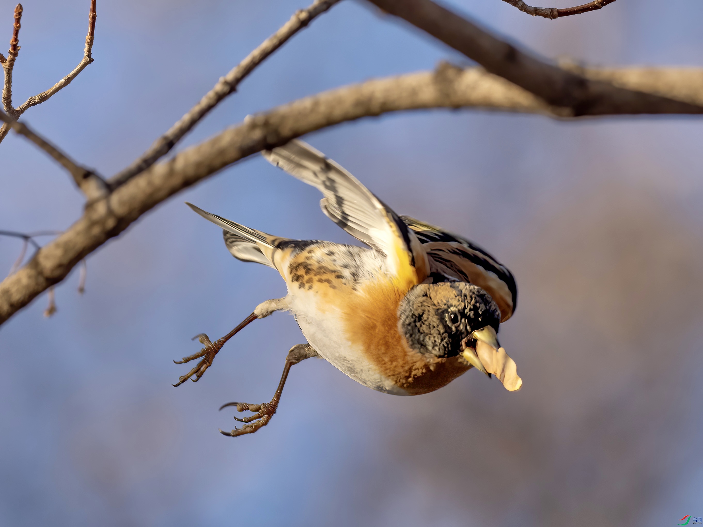 B63086D1-E987-4D5C-8162-B3D7731A728A.jpeg