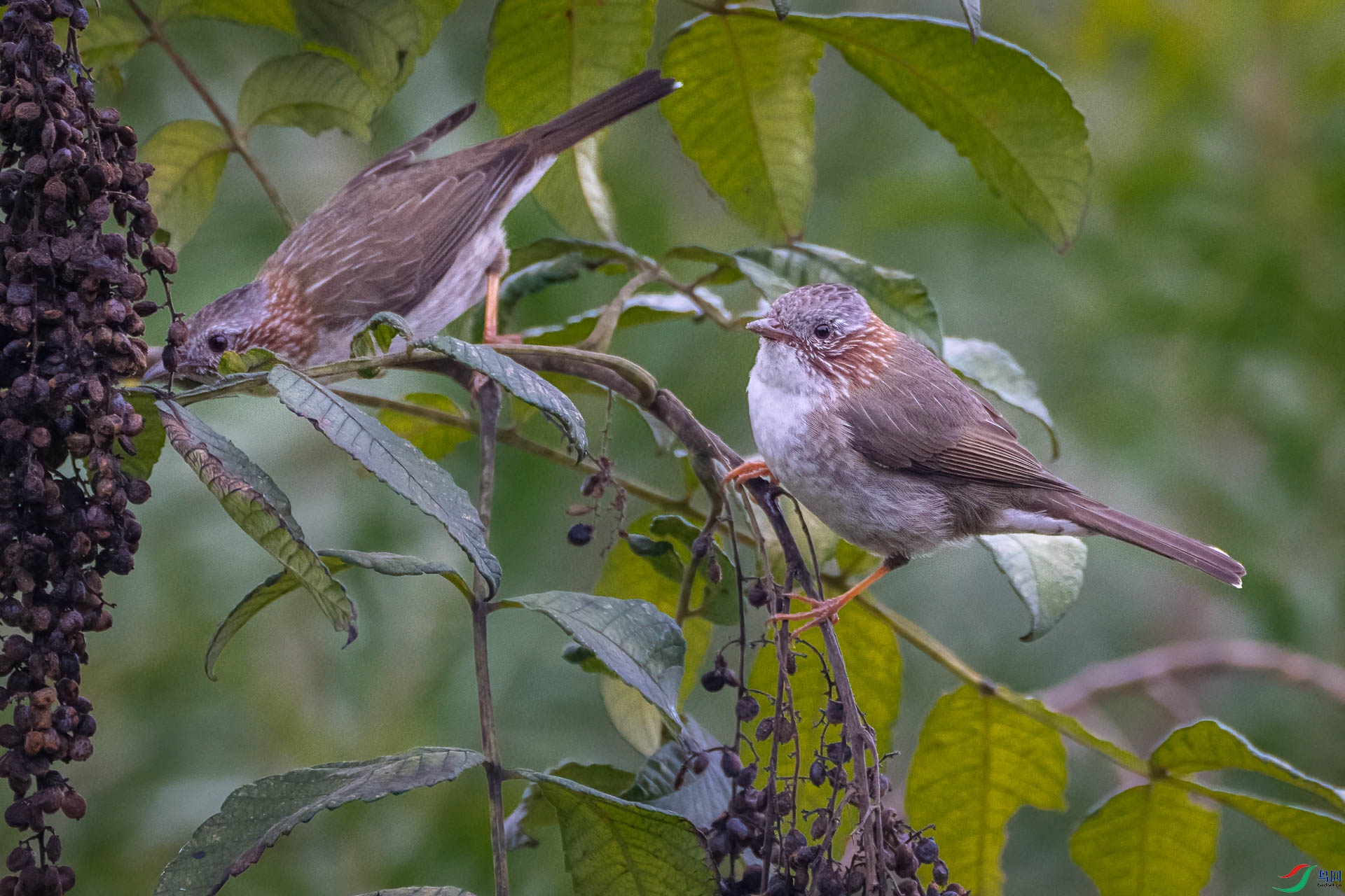 _DSC8650-Edit.jpg