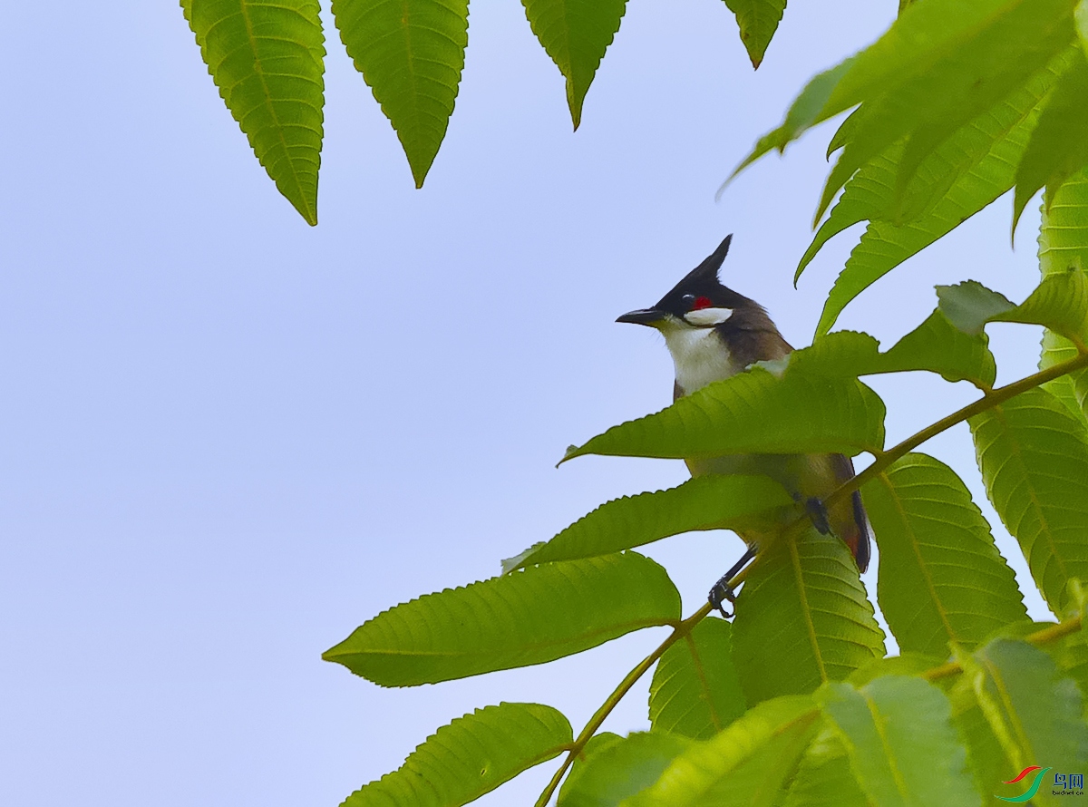 DSC_6979.JPG