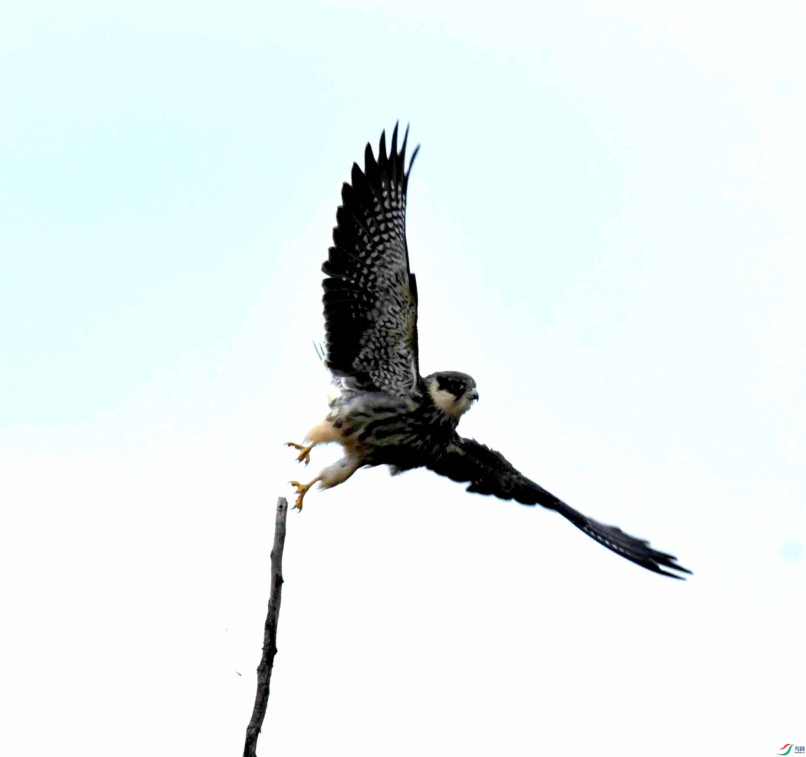 DSC_0082.JPG