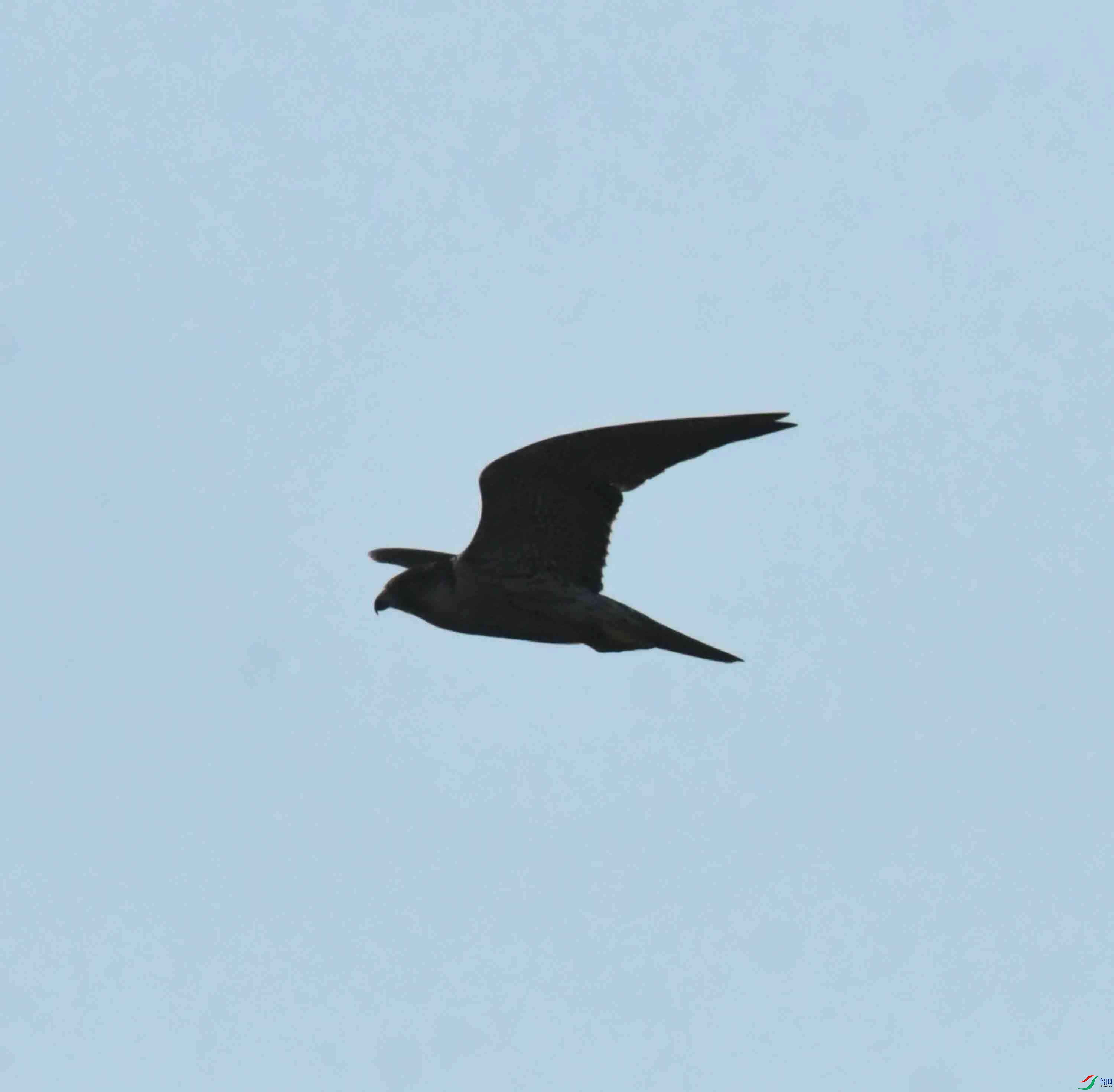DSC_9214.JPG
