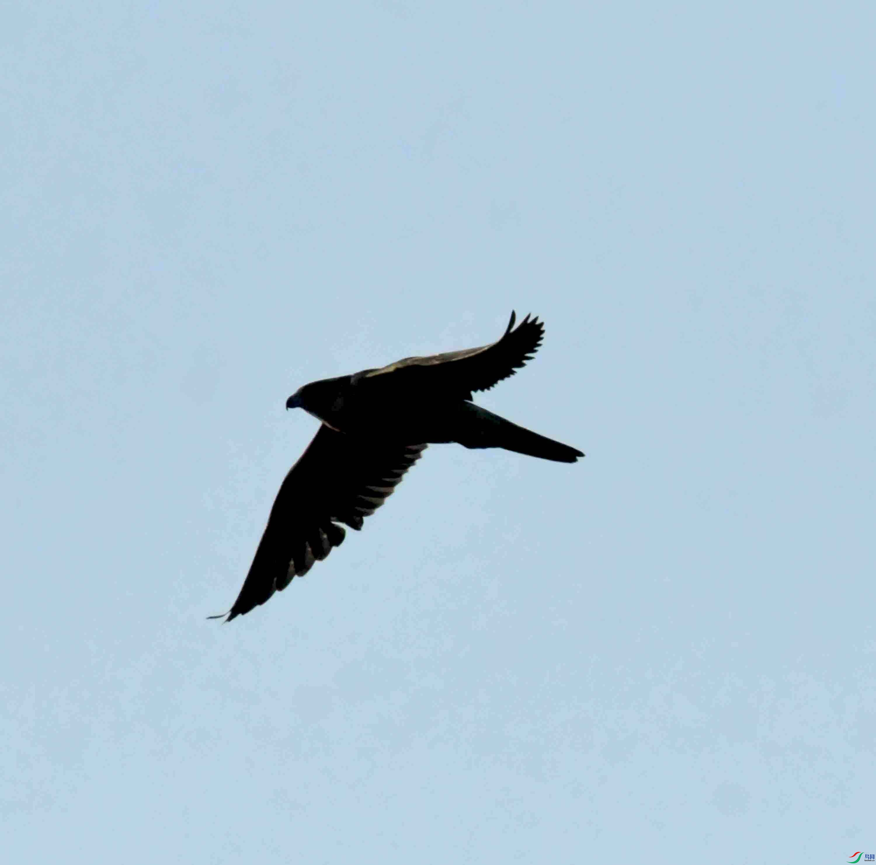 DSC_9215.JPG