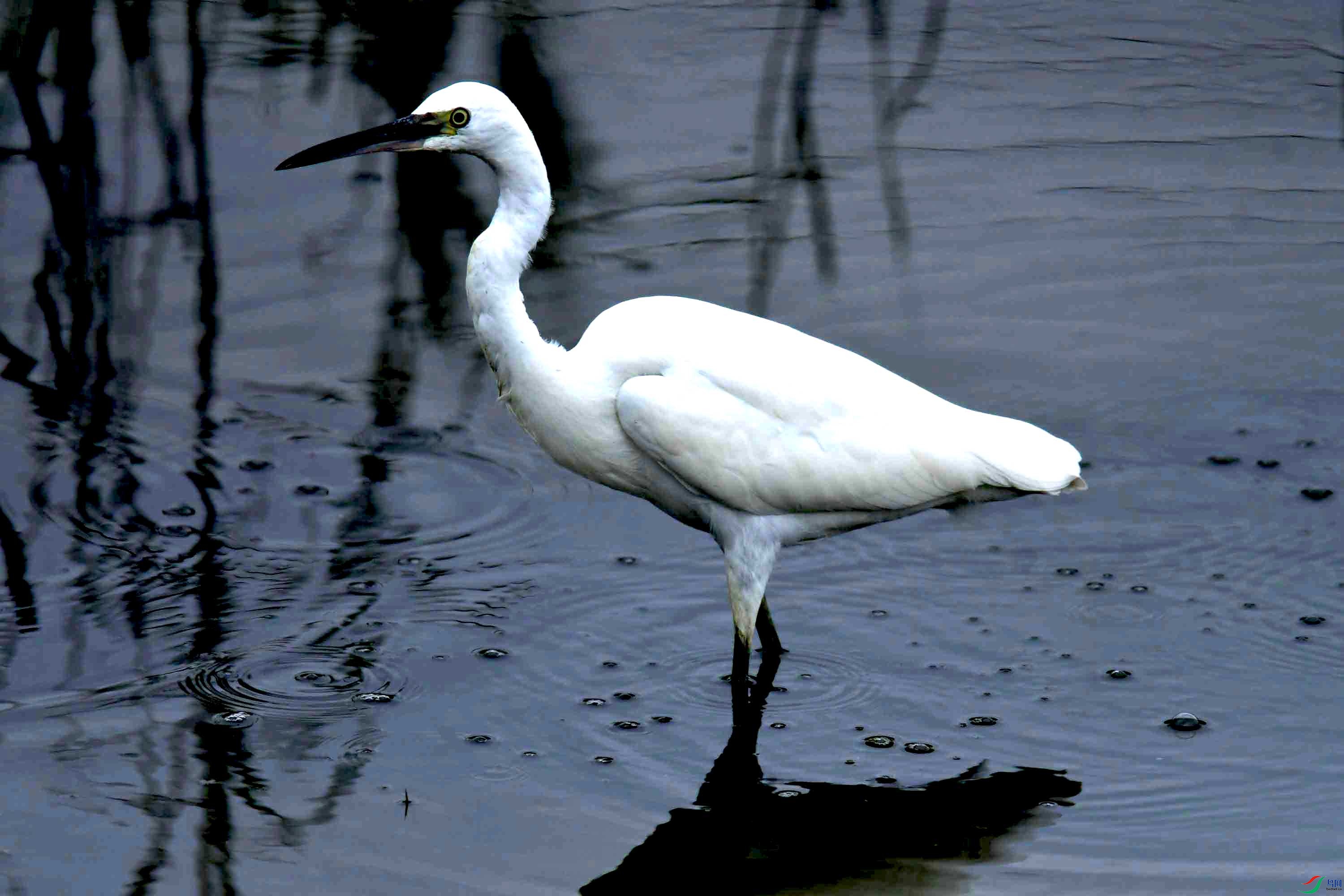 DSC_0008.JPG