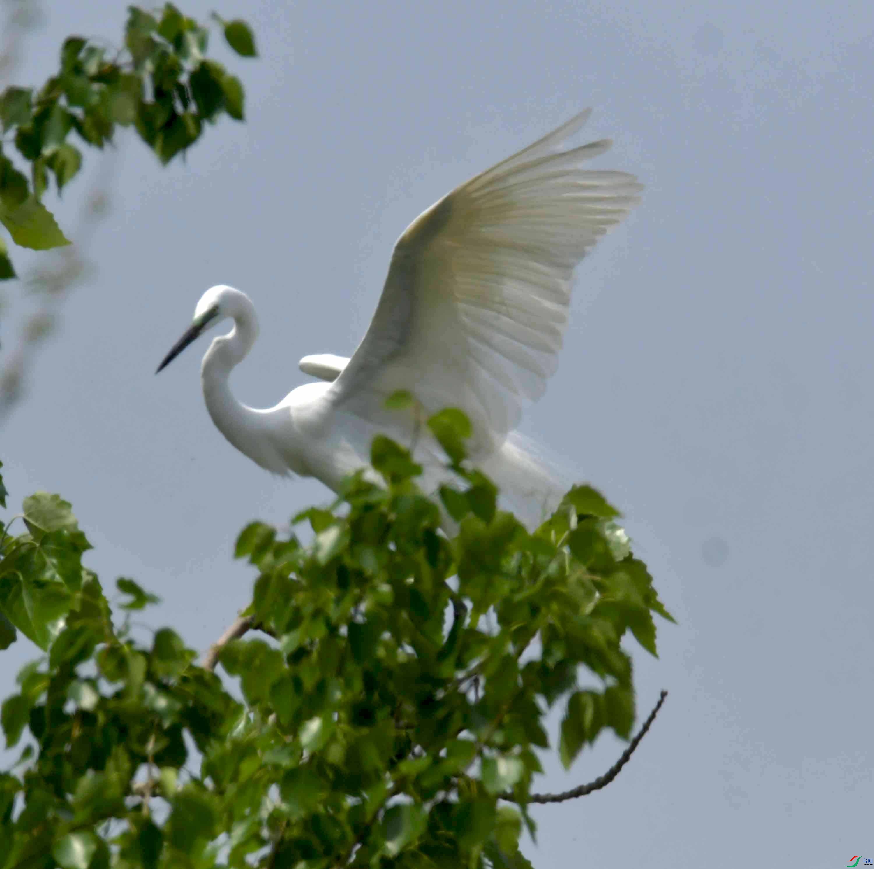 DSC_9411.JPG