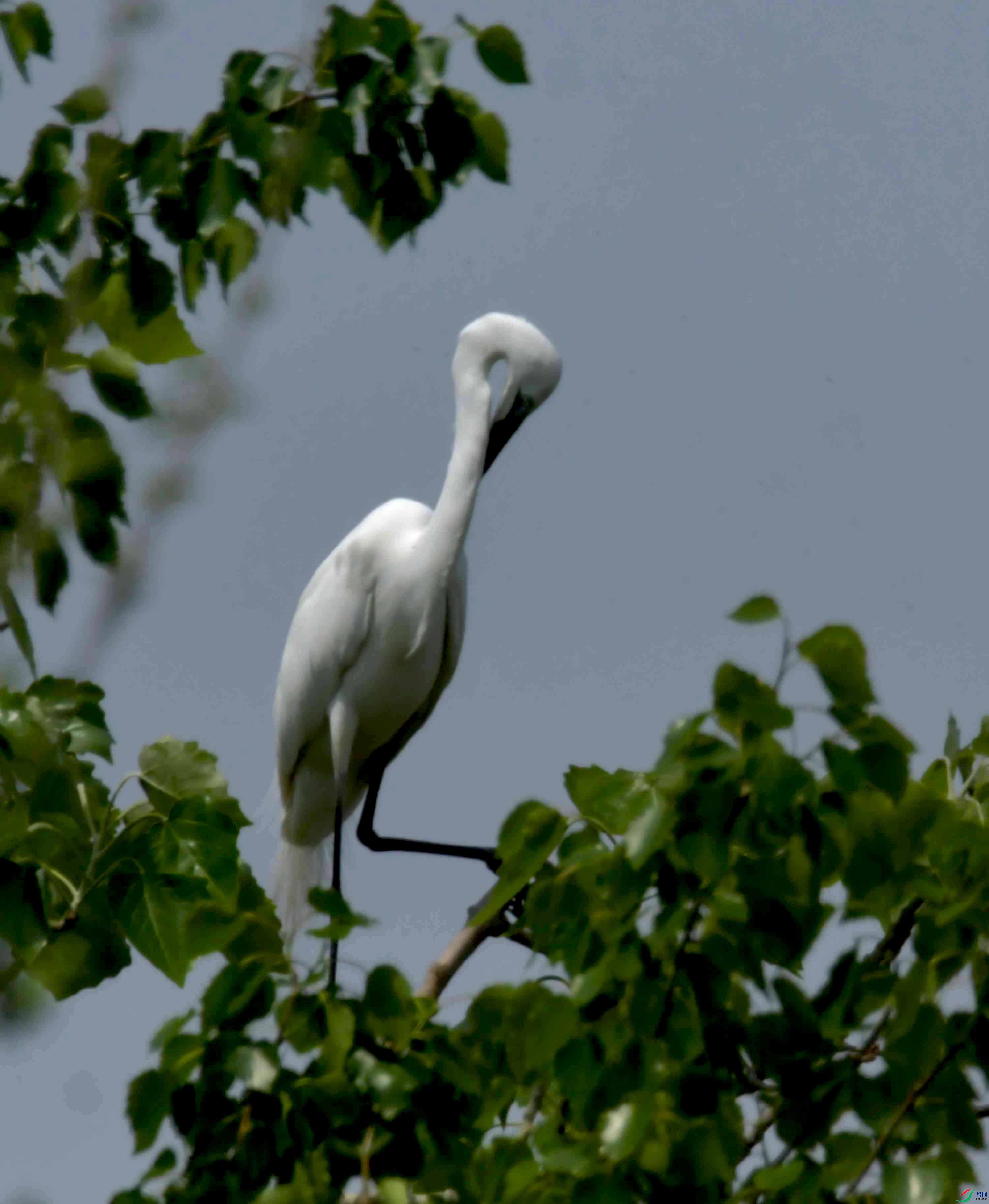 DSC_9427.JPG