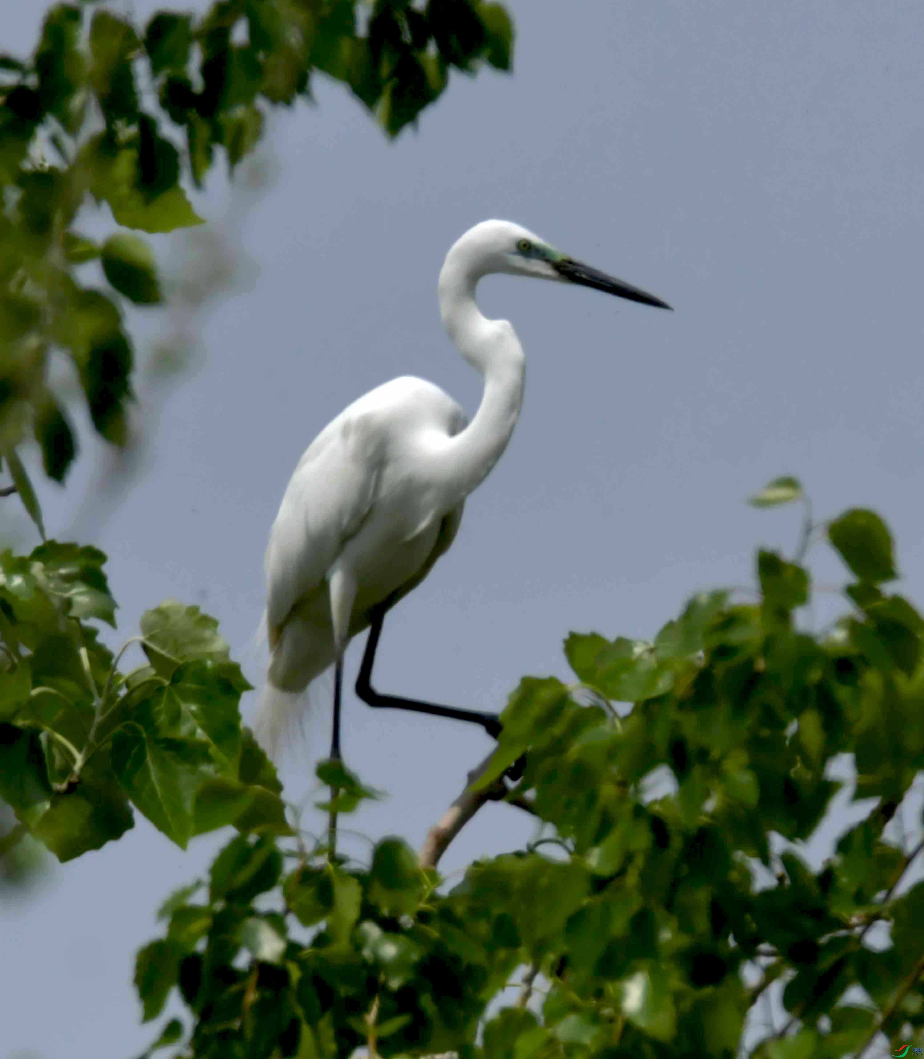 DSC_9426.JPG