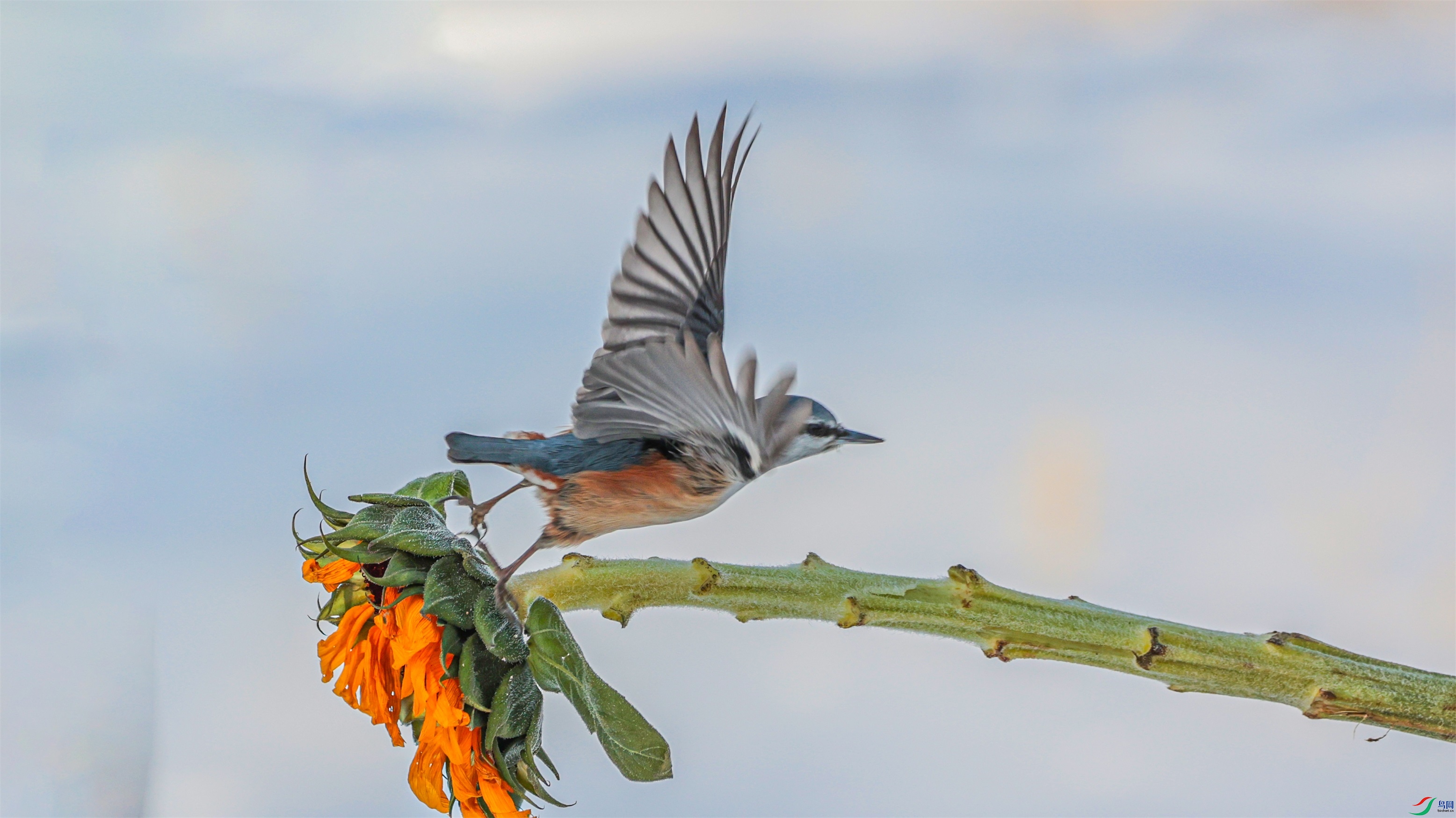 1K3A0646 ����1.jpg