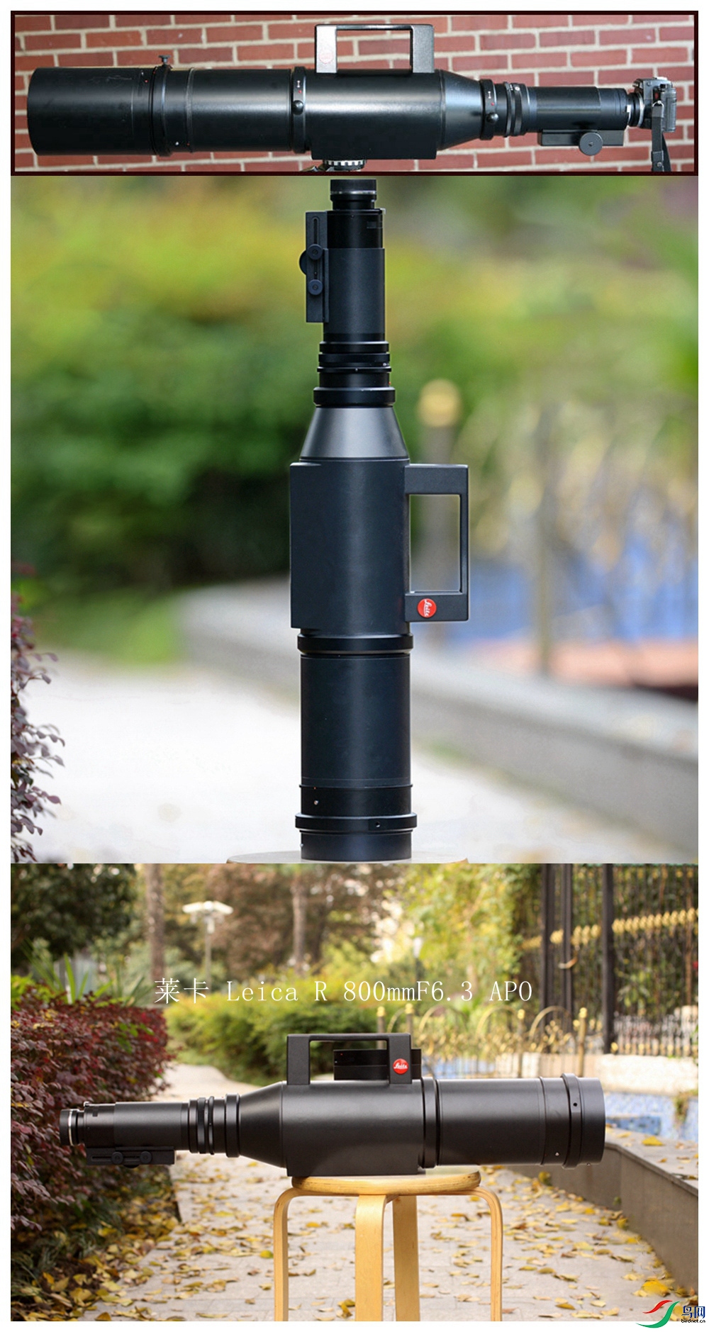���� Leica R 800mmF6.3 APO_����.jpg