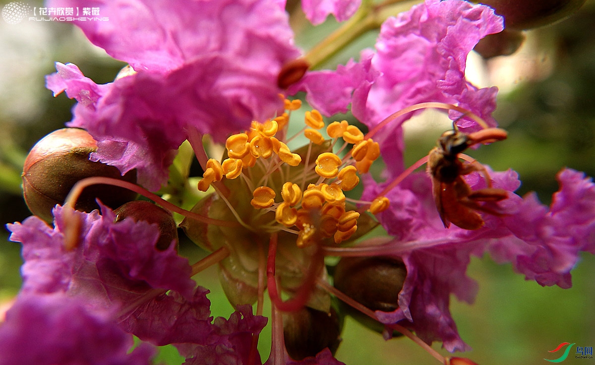 P7132847.jpg