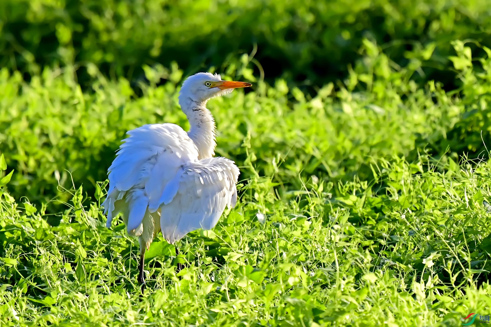 DSC_9292.jpg