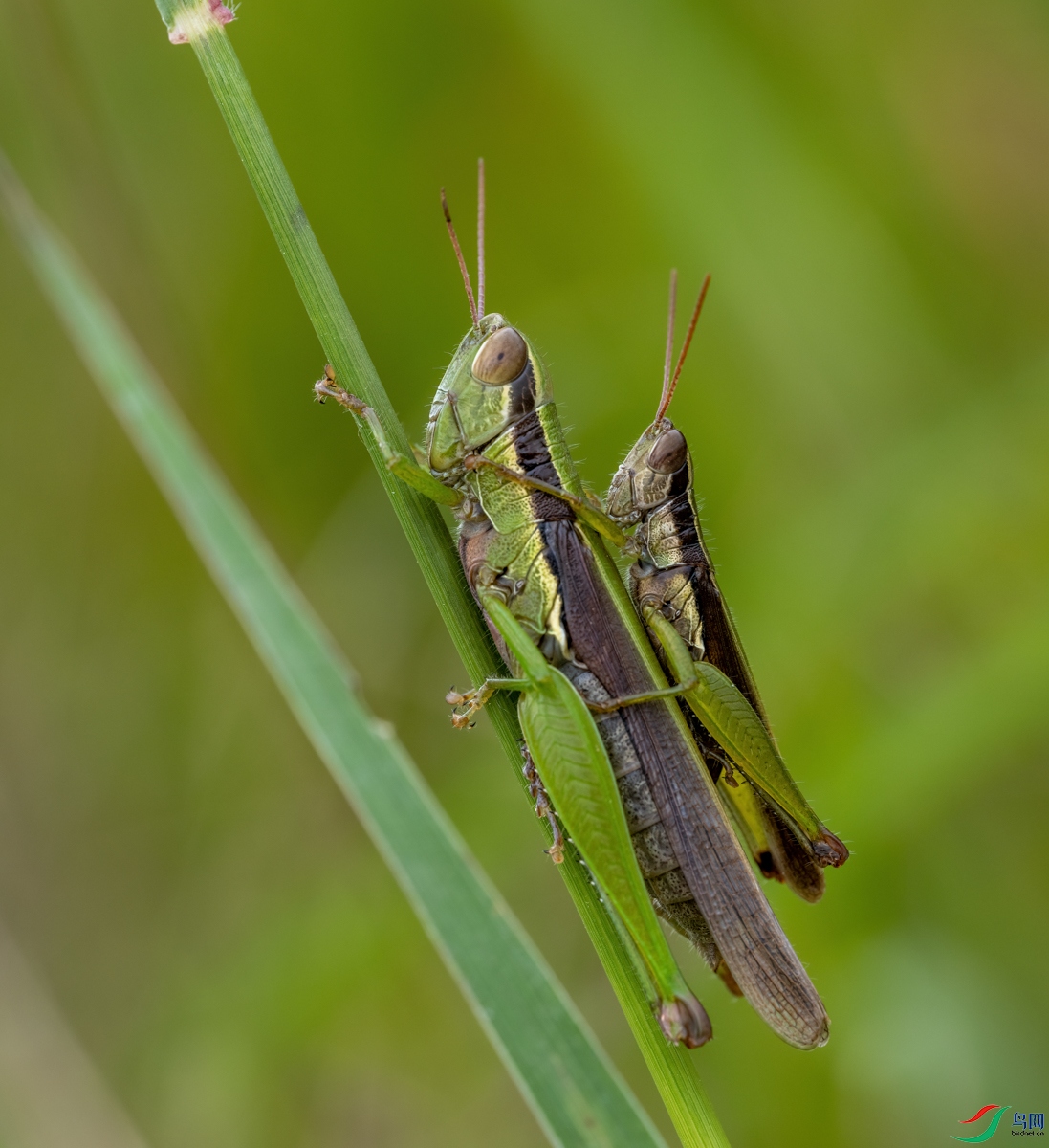 DSCF7978_3.jpg