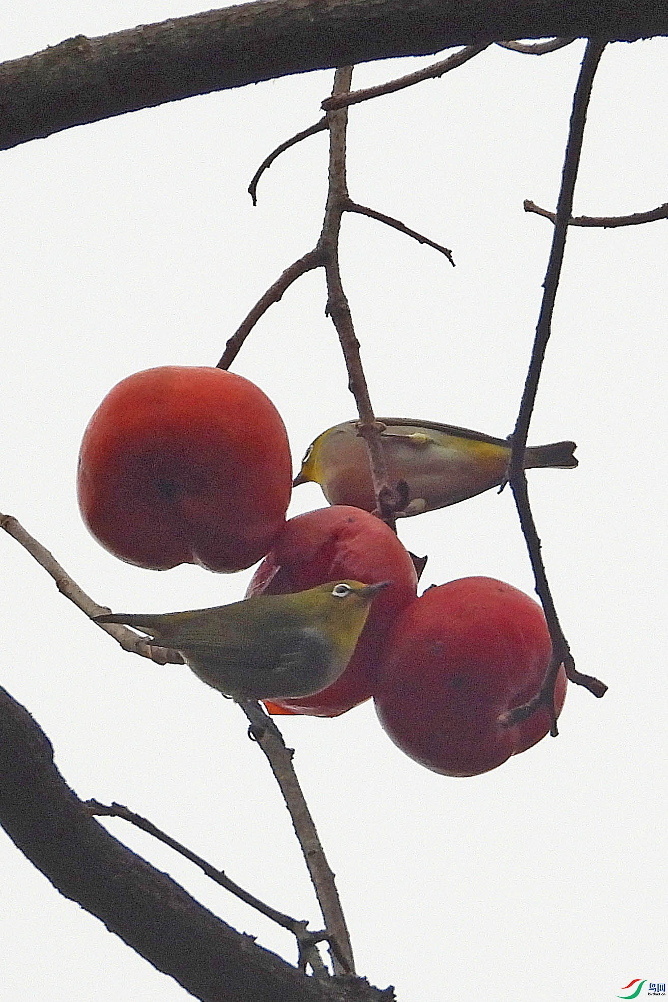 DSCN0383.jpg