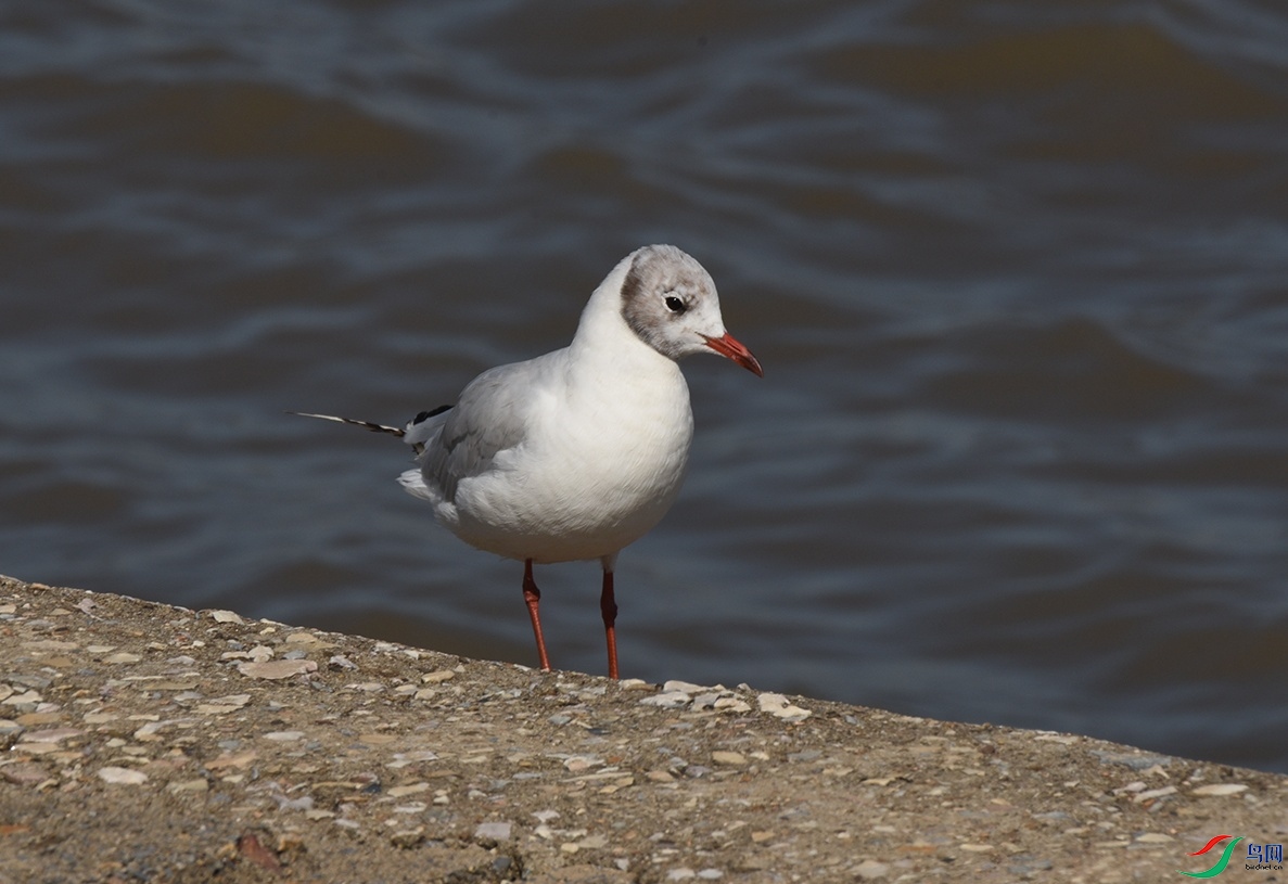 DSC_5167f.jpg