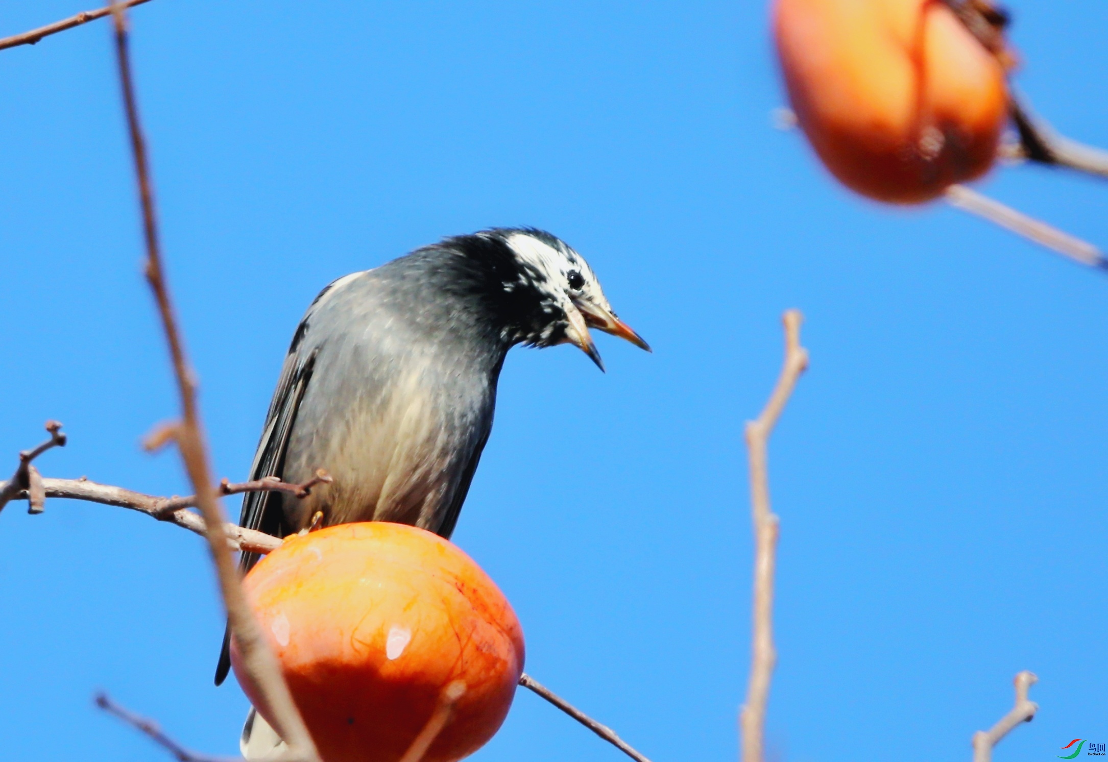 ����� 9-01-01.jpeg