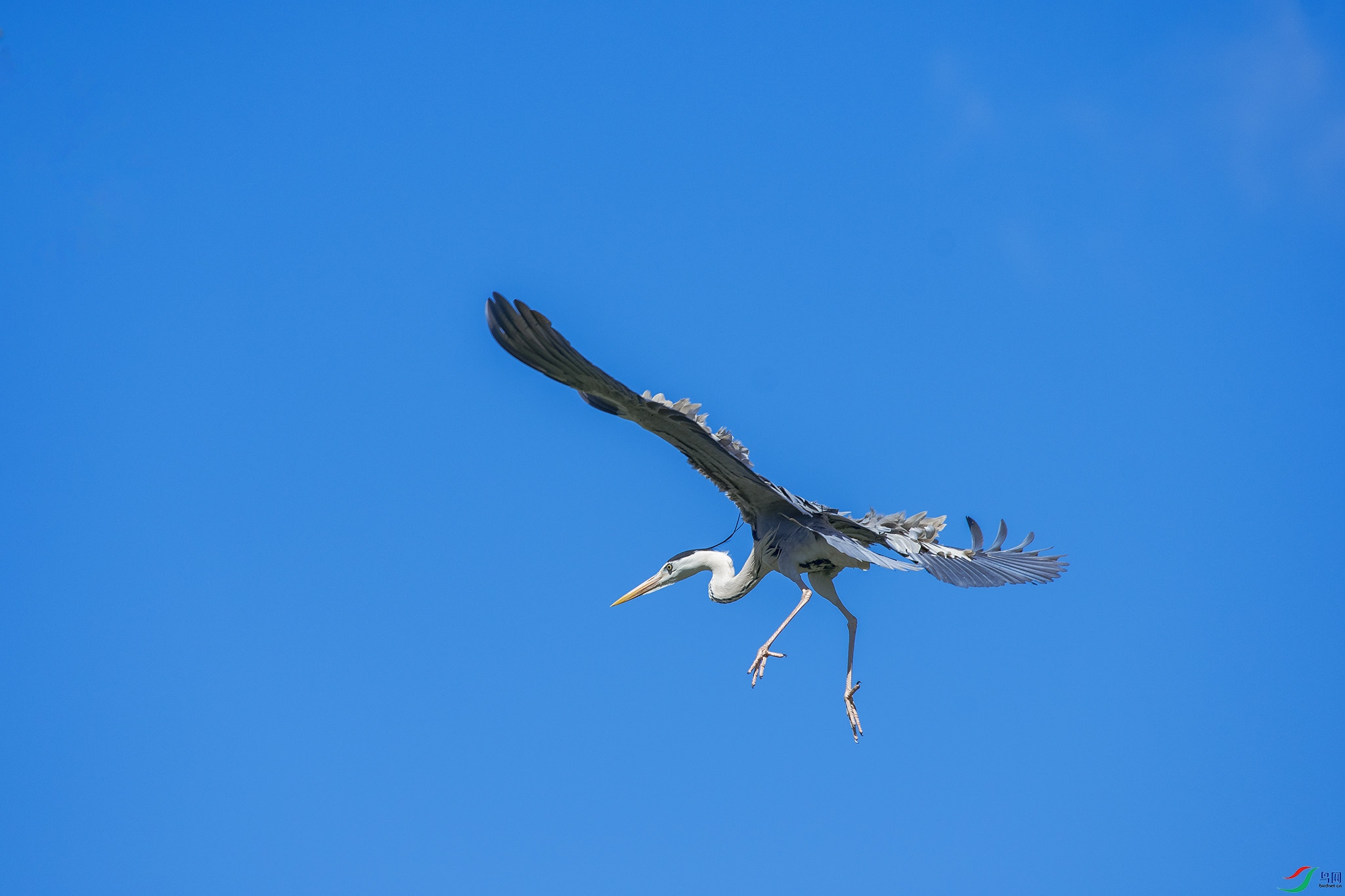 DSC_0094.jpg