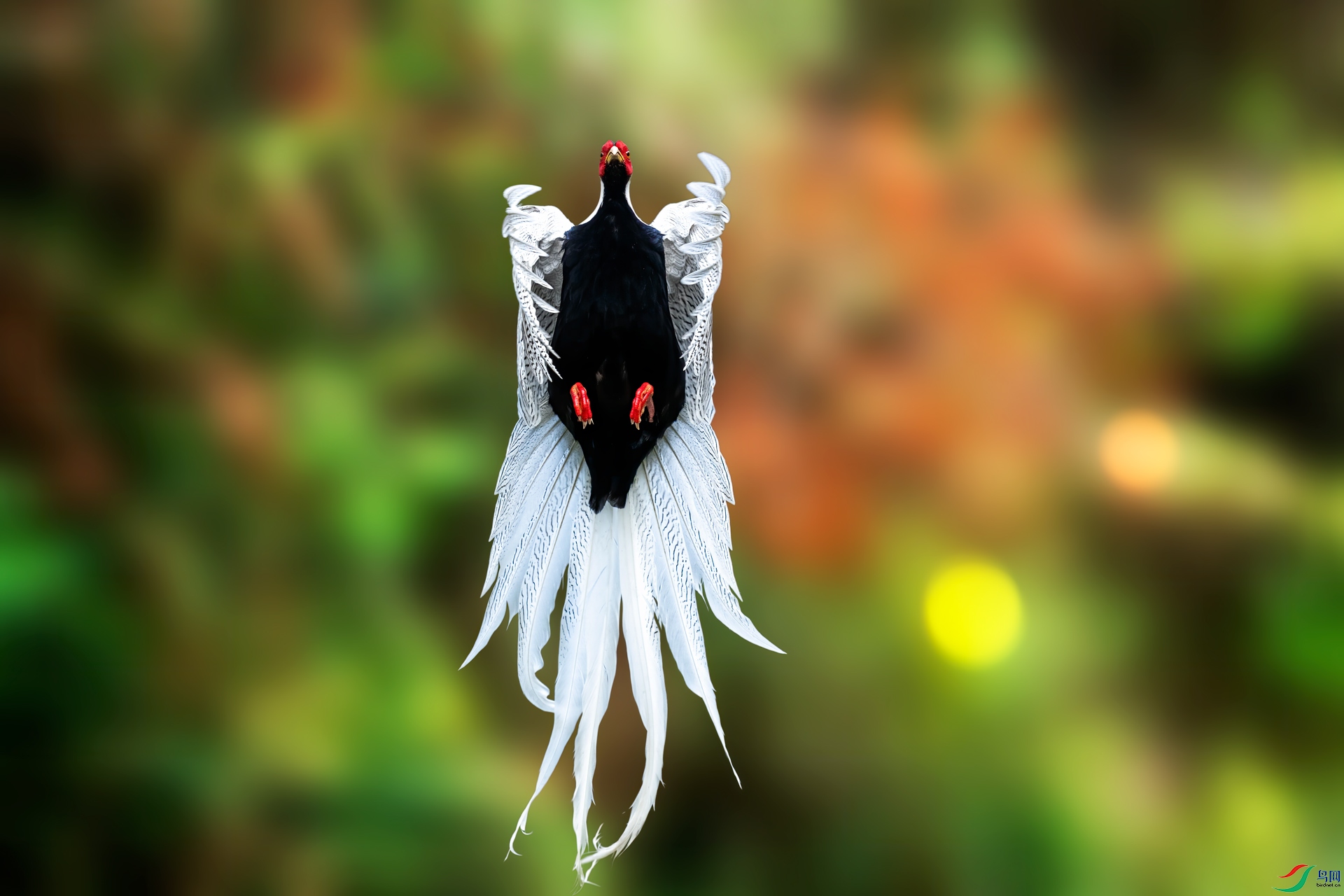 ����֮��