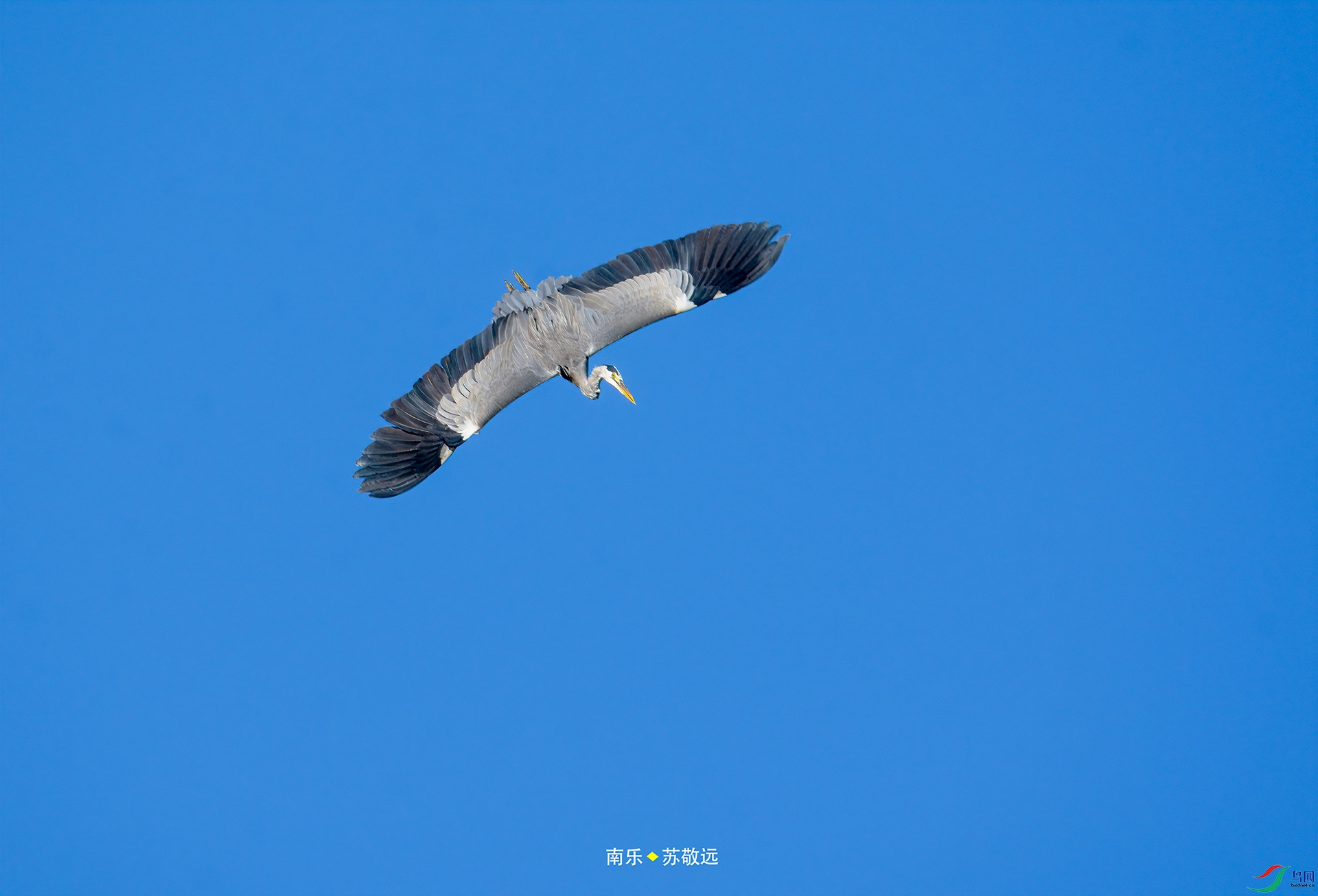 _DSC0356С.jpg