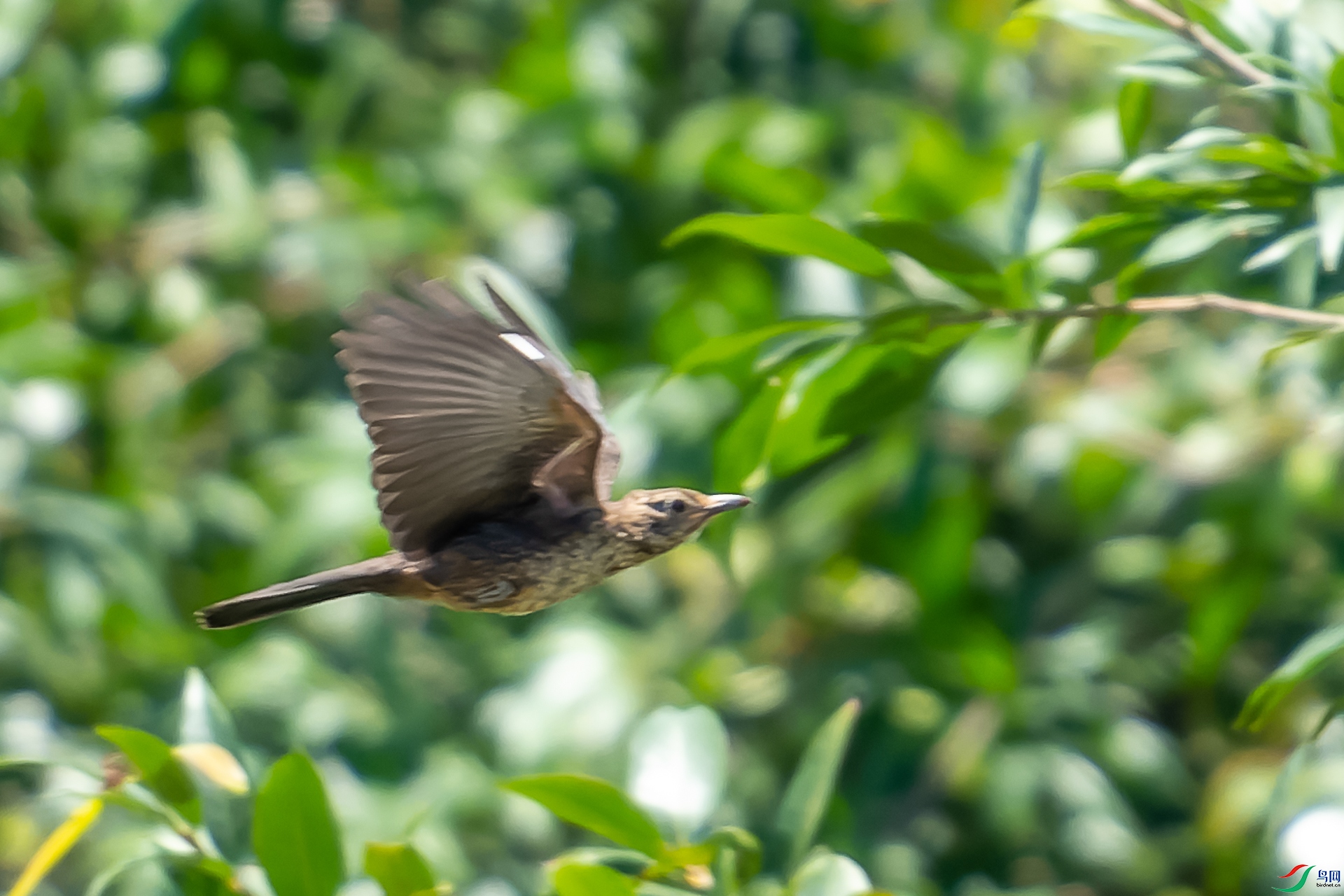 DSC04425-ARW_DxO_DeepPRIME-1-2.jpg