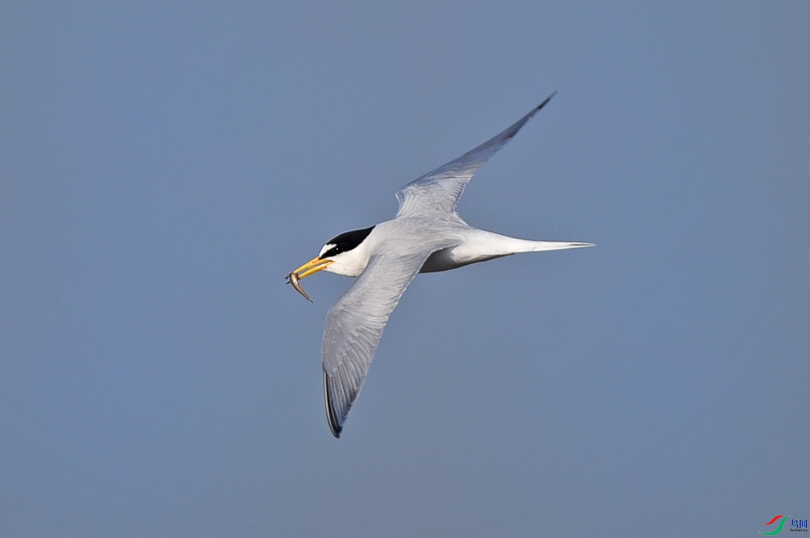 DSC_3476d_��ͼ��.jpg