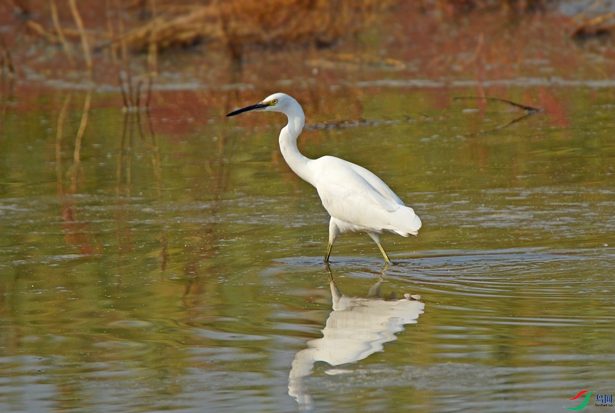DSC_0240.jpg