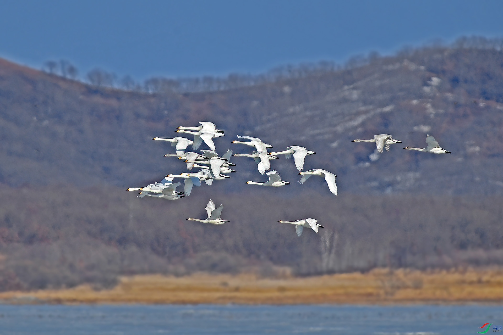 DSC_2060qqq.jpg