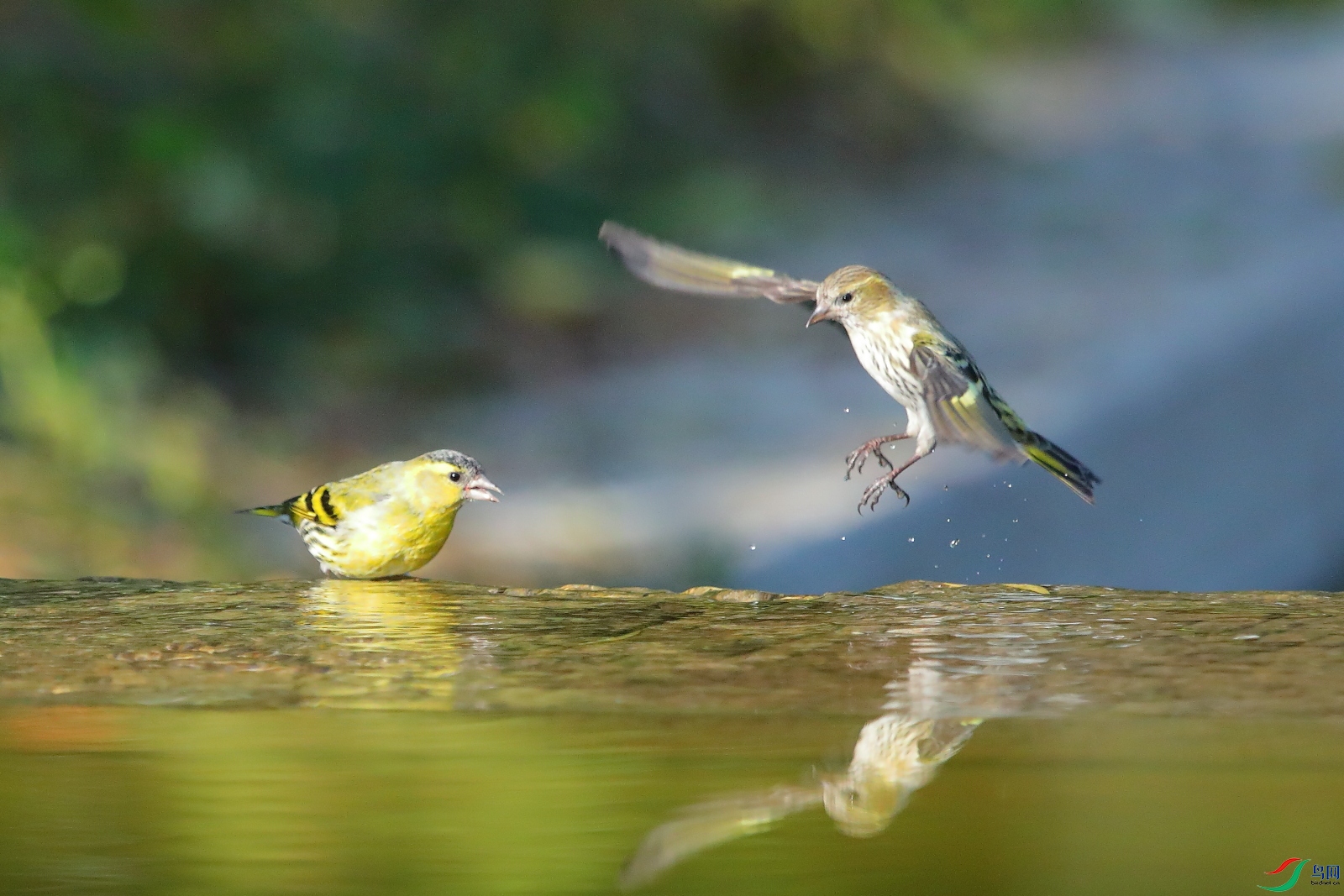 5S8A2850B - ����B.JPG