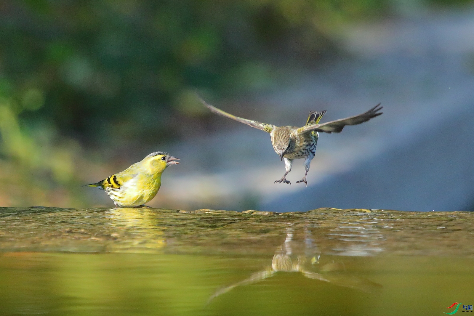 5S8A2851B - ����B.JPG