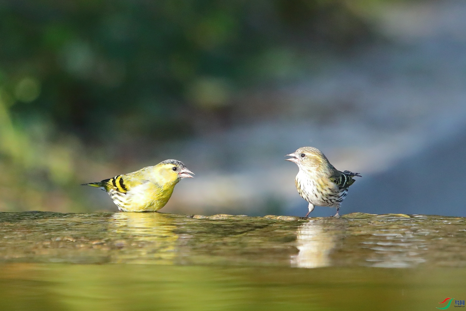 5S8A2852B - ����B.JPG