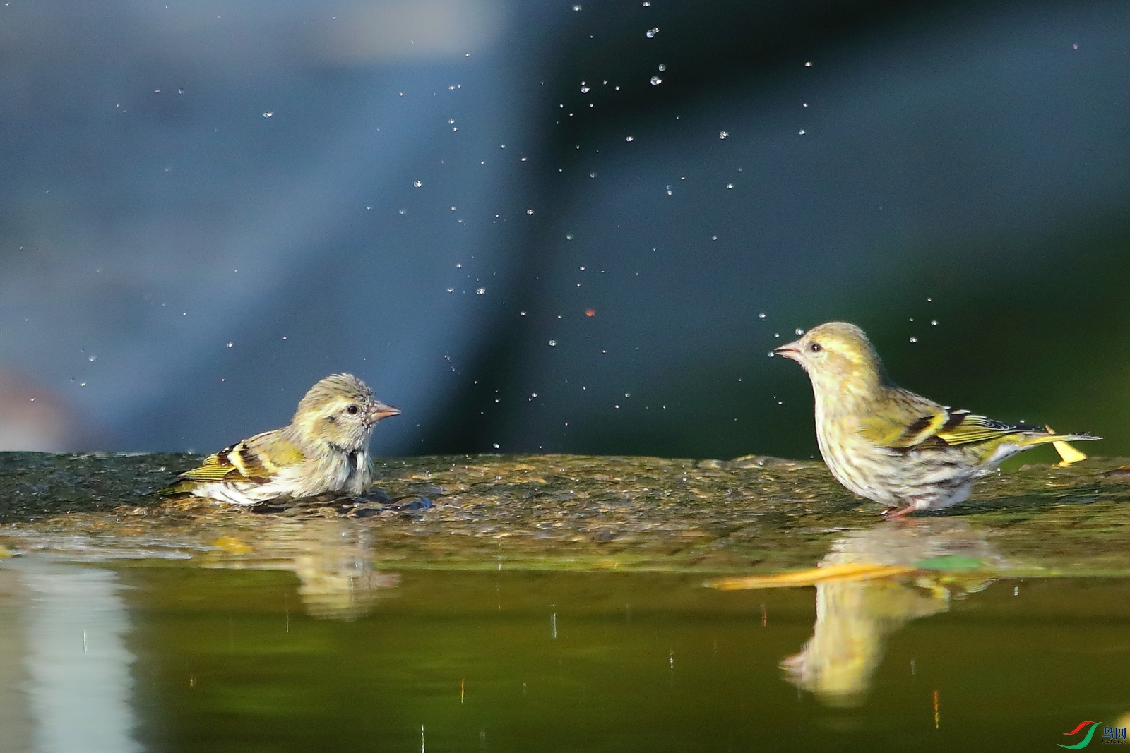 5S8A0839B - ����B.JPG