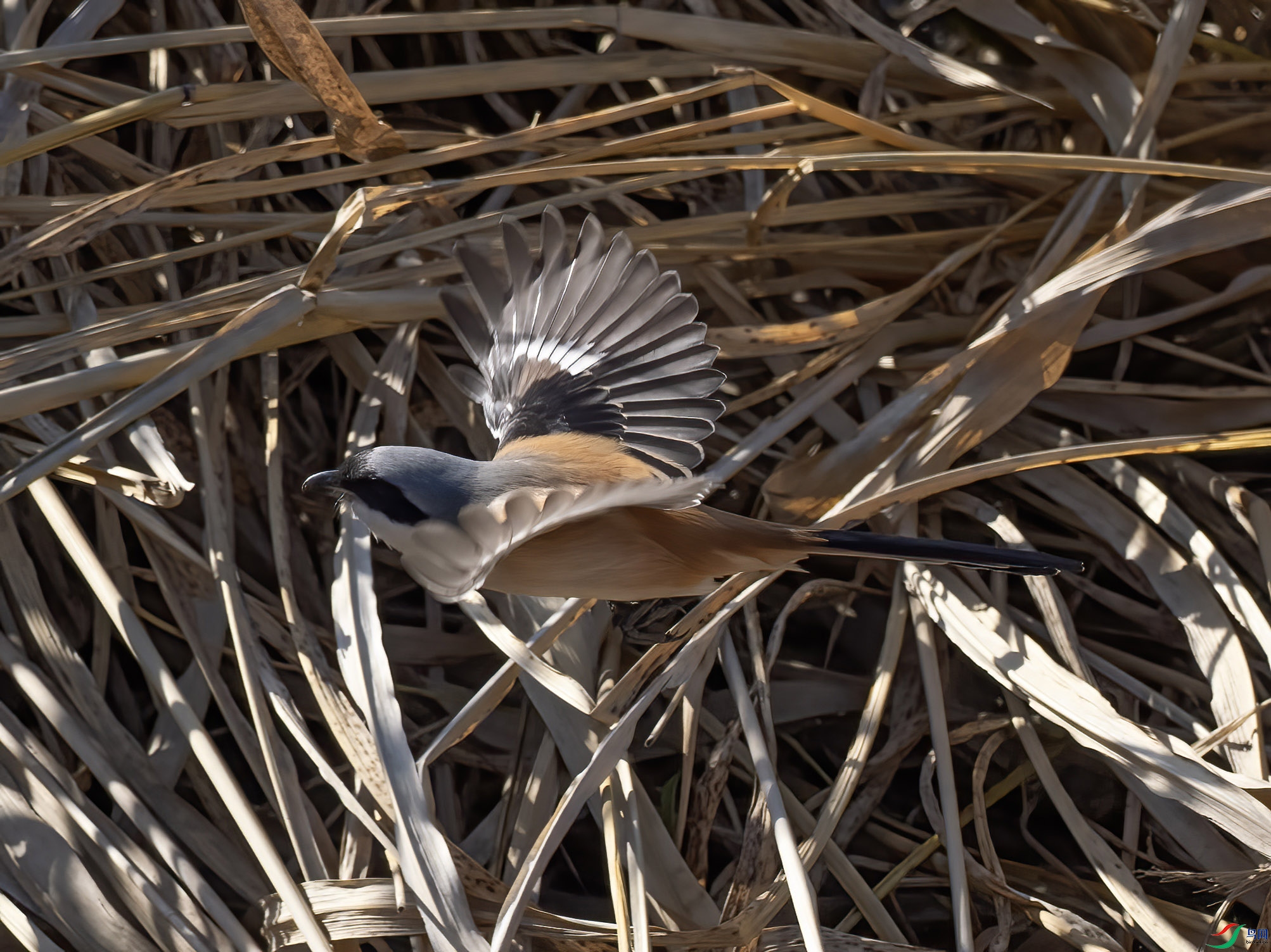 ���� ����.jpg