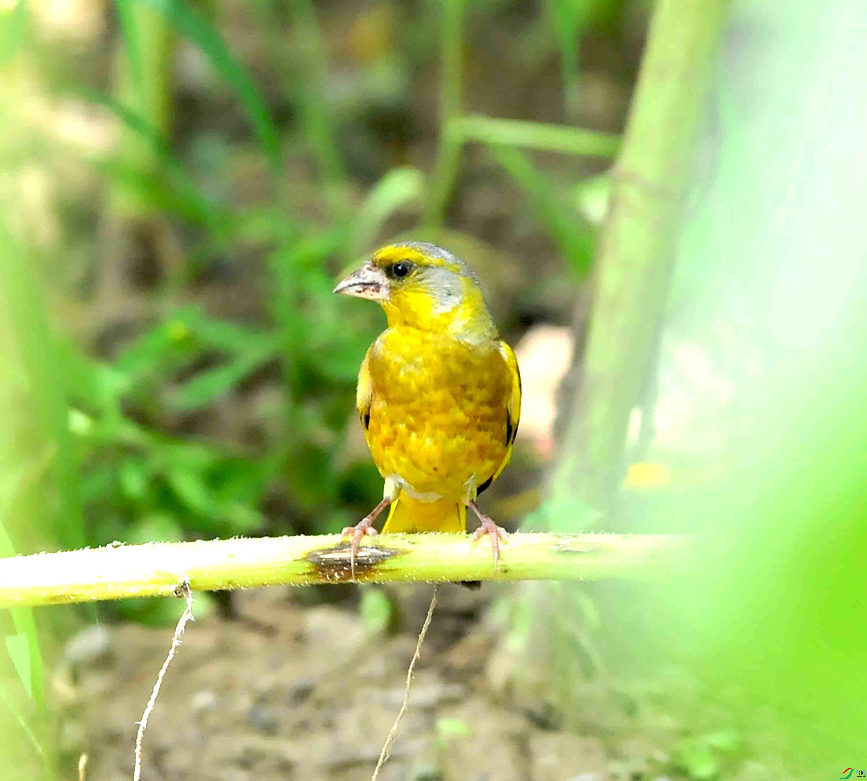 DSC_8673.JPG