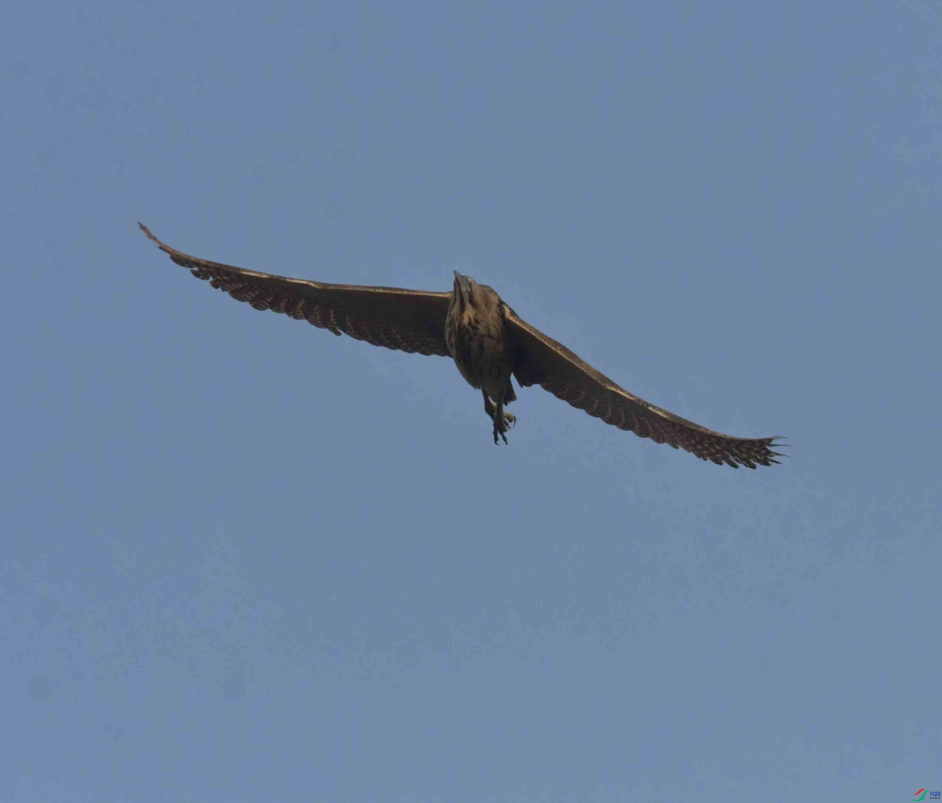 DSC_0163.JPG