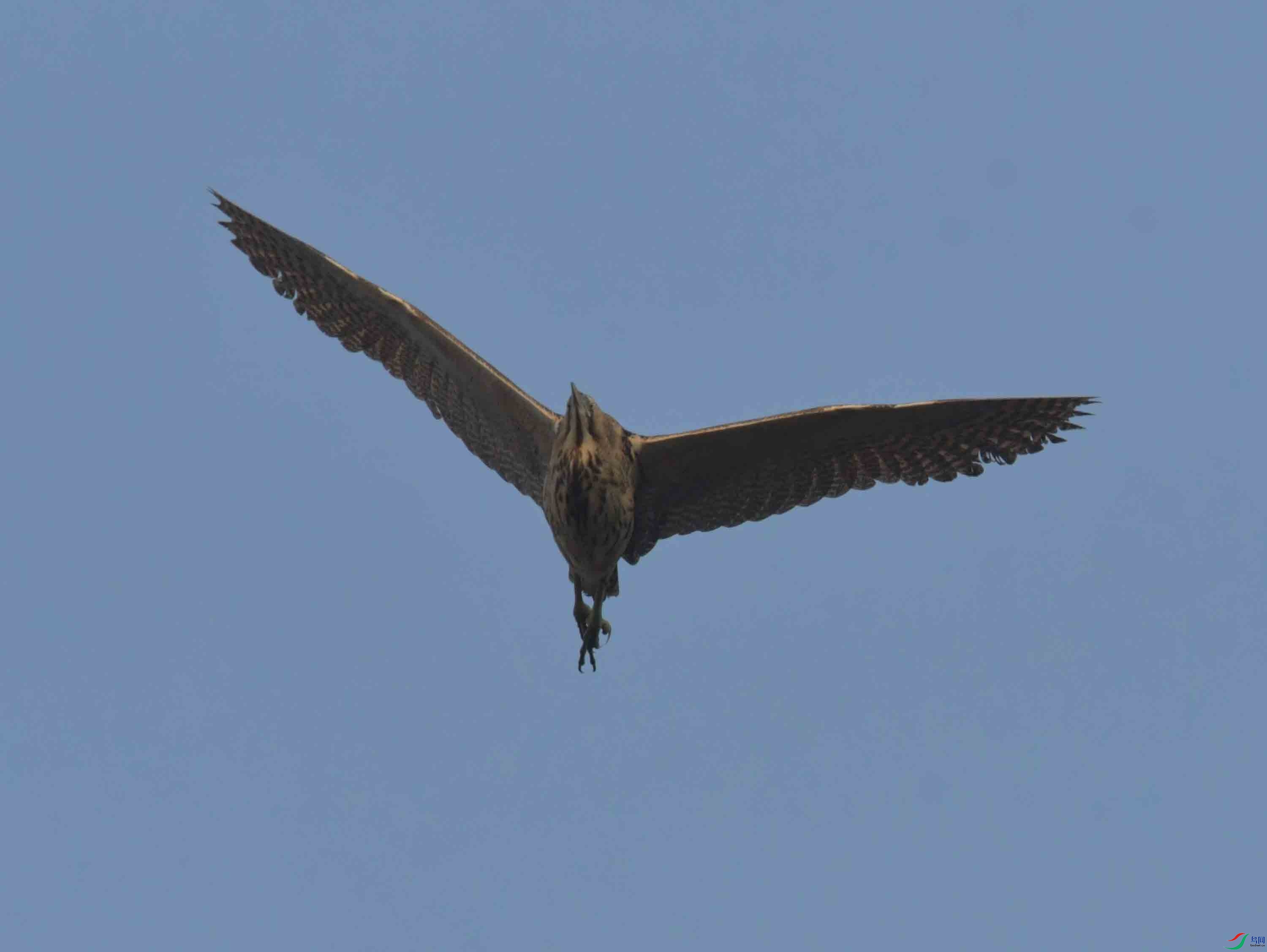 DSC_0164.JPG