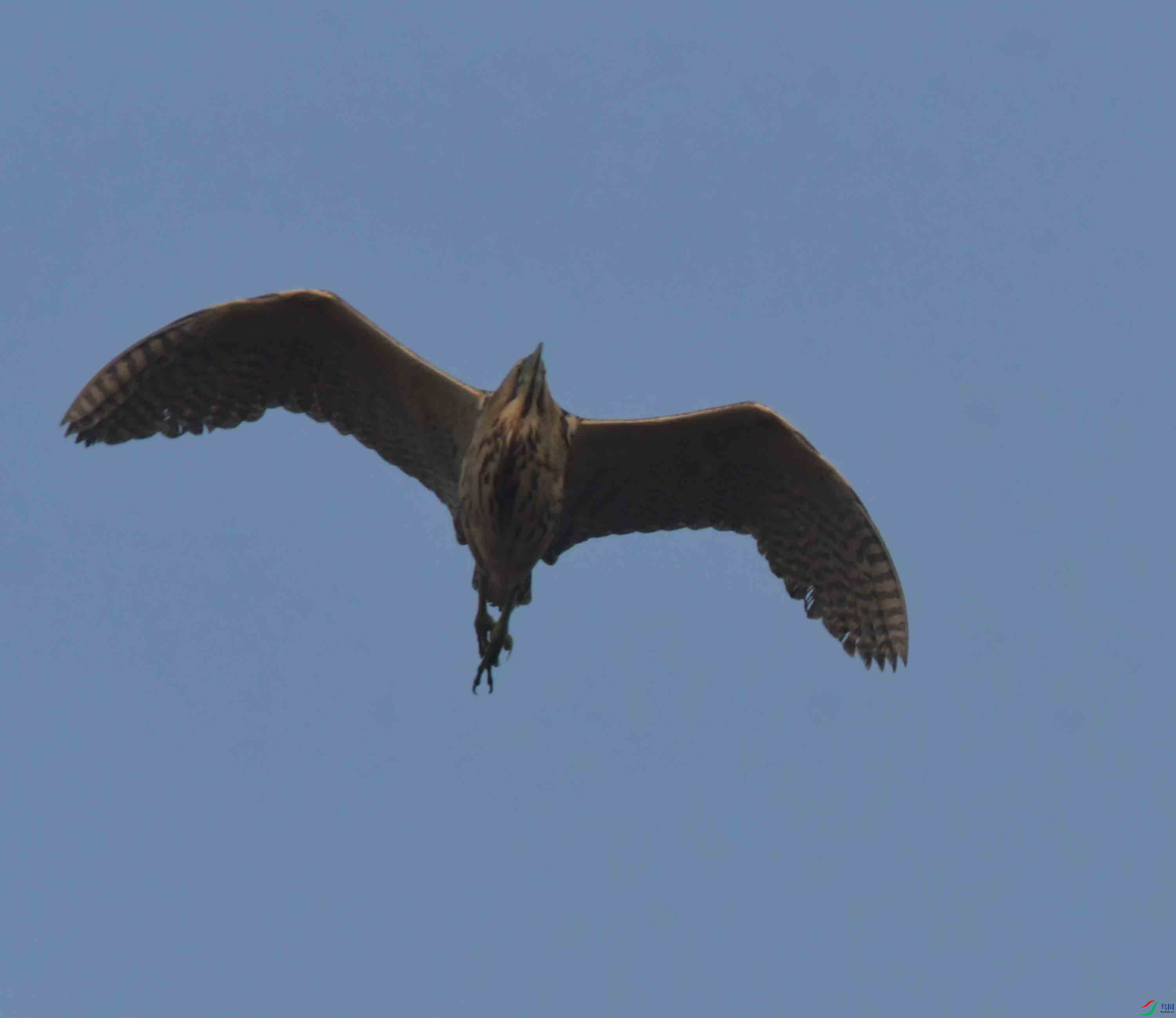 DSC_0166.JPG