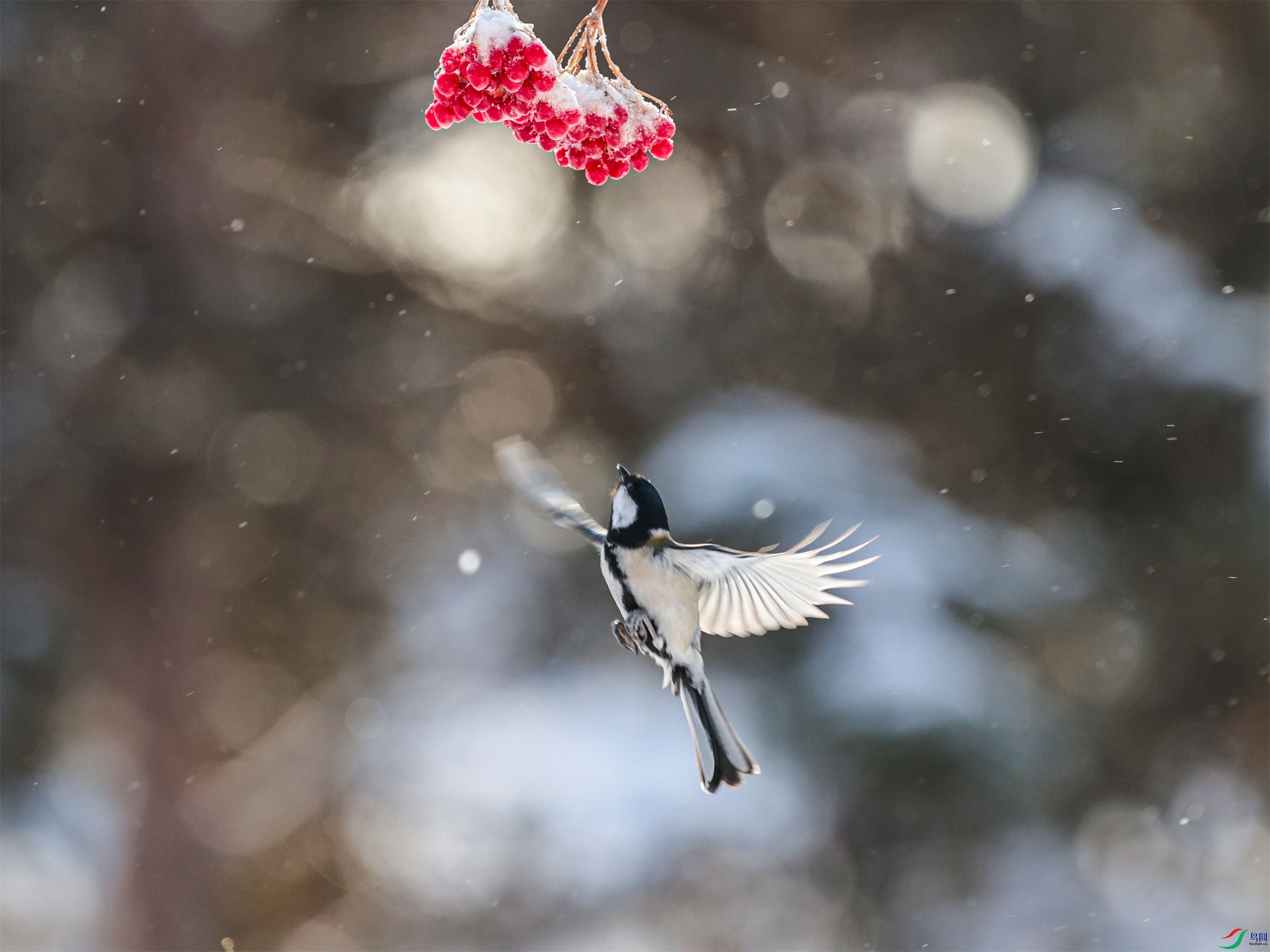 1K3A5592 ����1.jpg