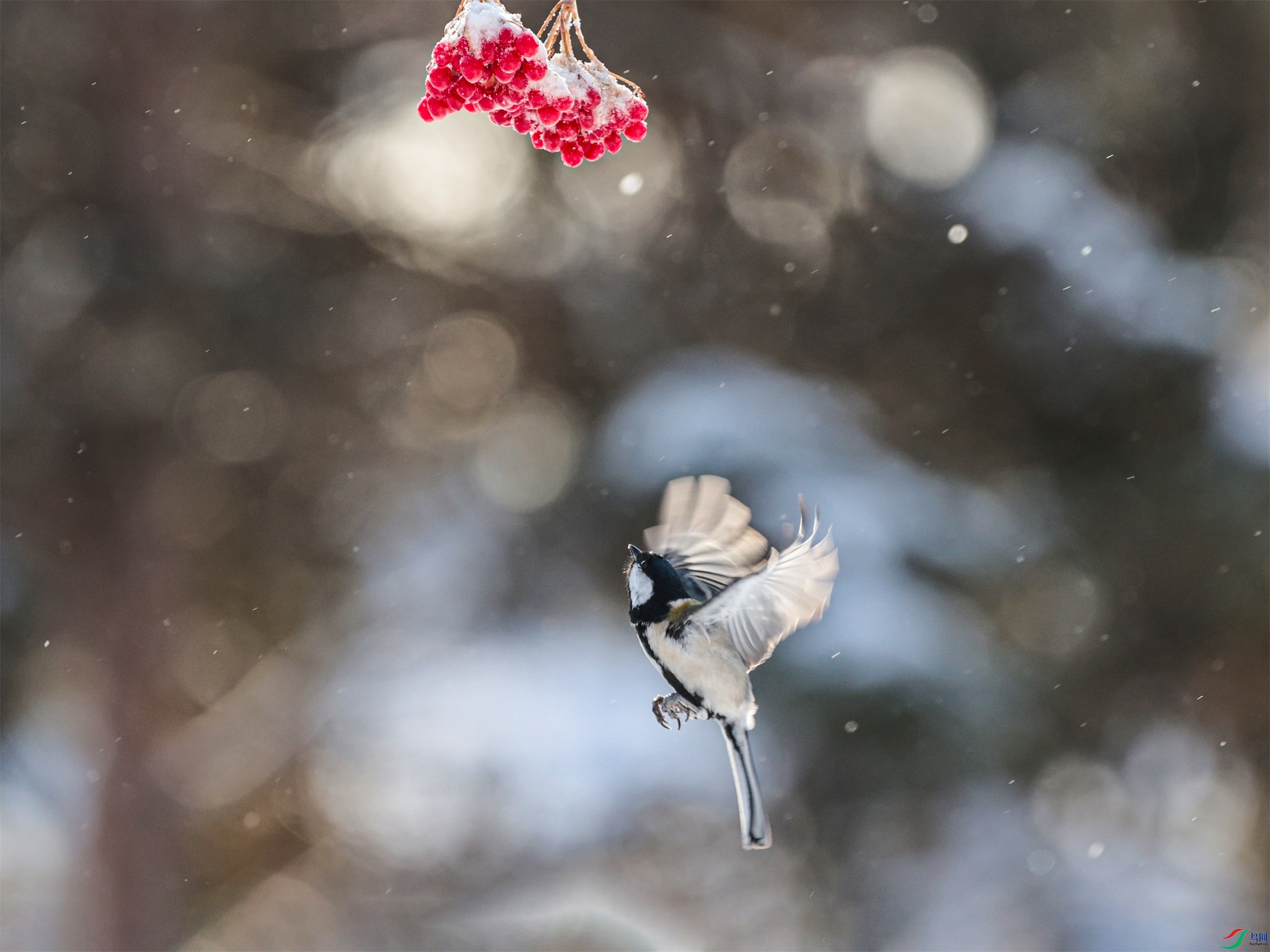 1K3A5591 ����1.jpg