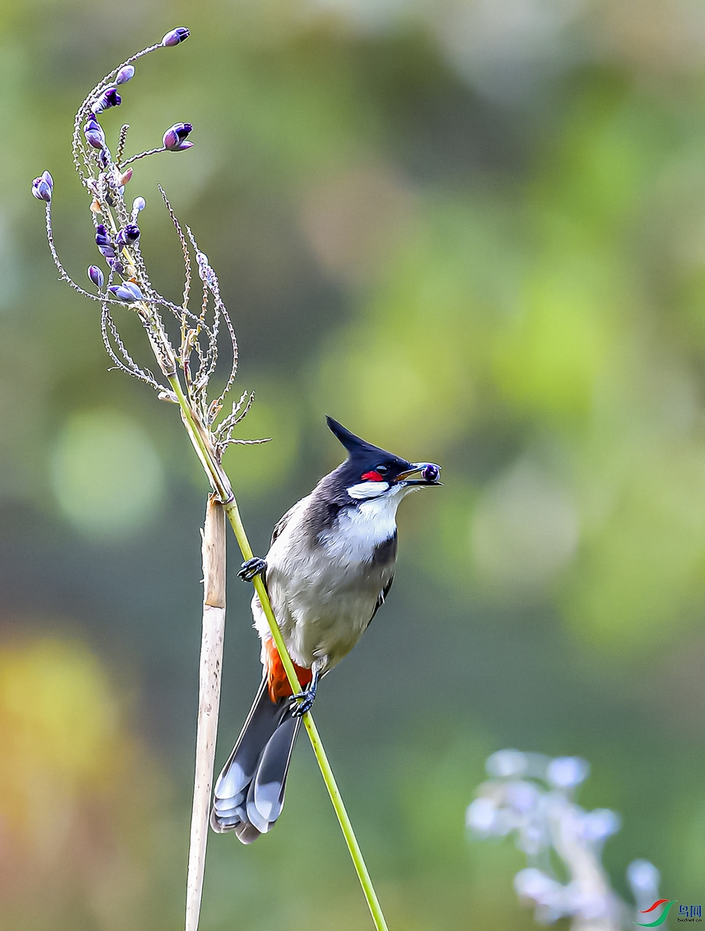 _DSC4480_623-3-3.jpg