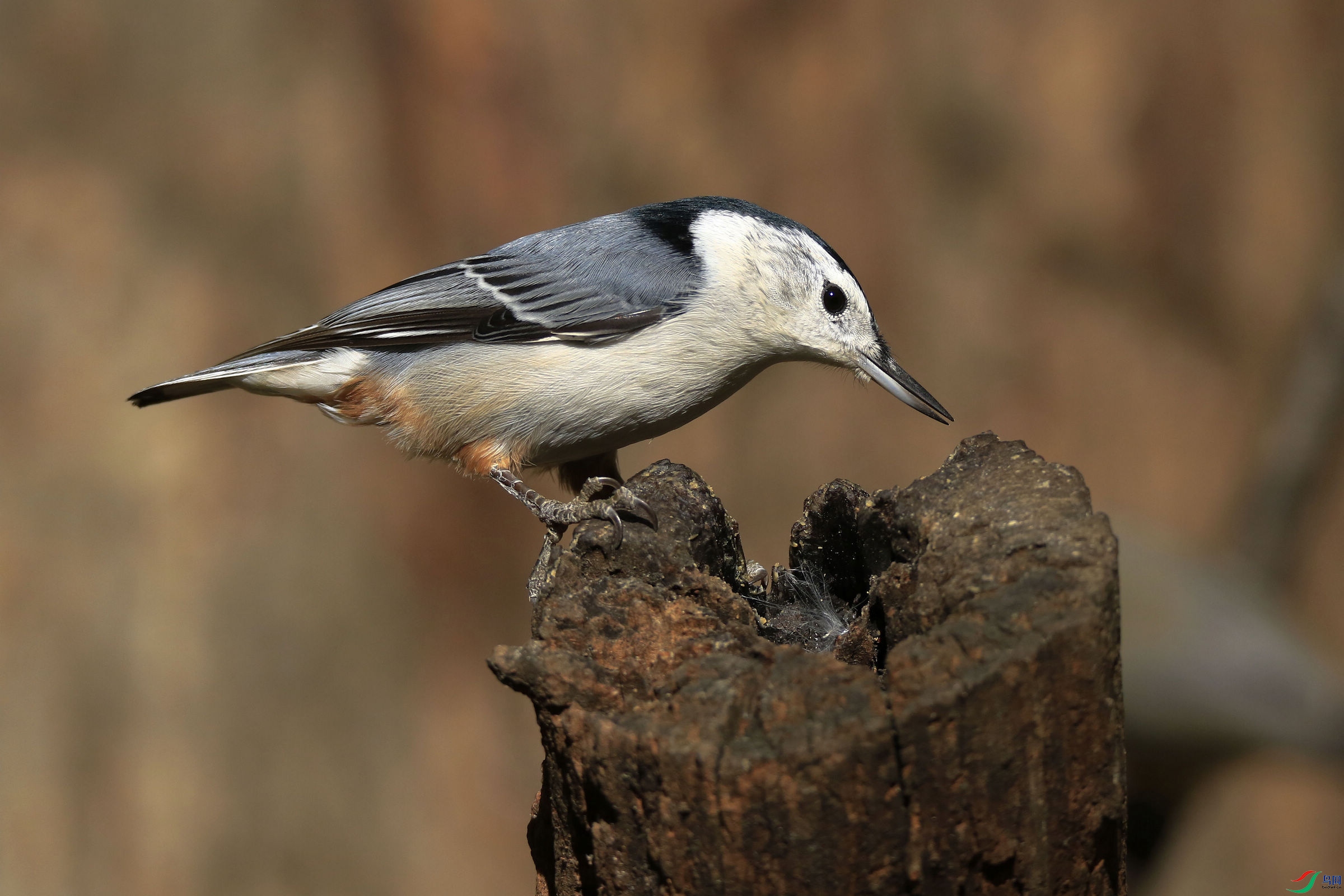 �����[ 04.jpg