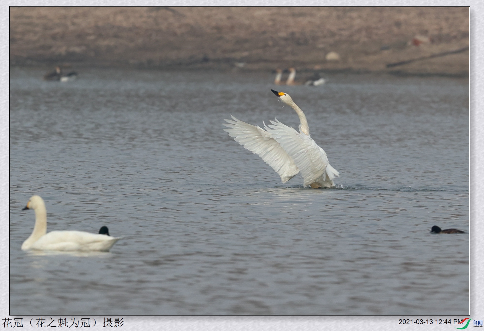 AH4I9408B-1_����.jpg