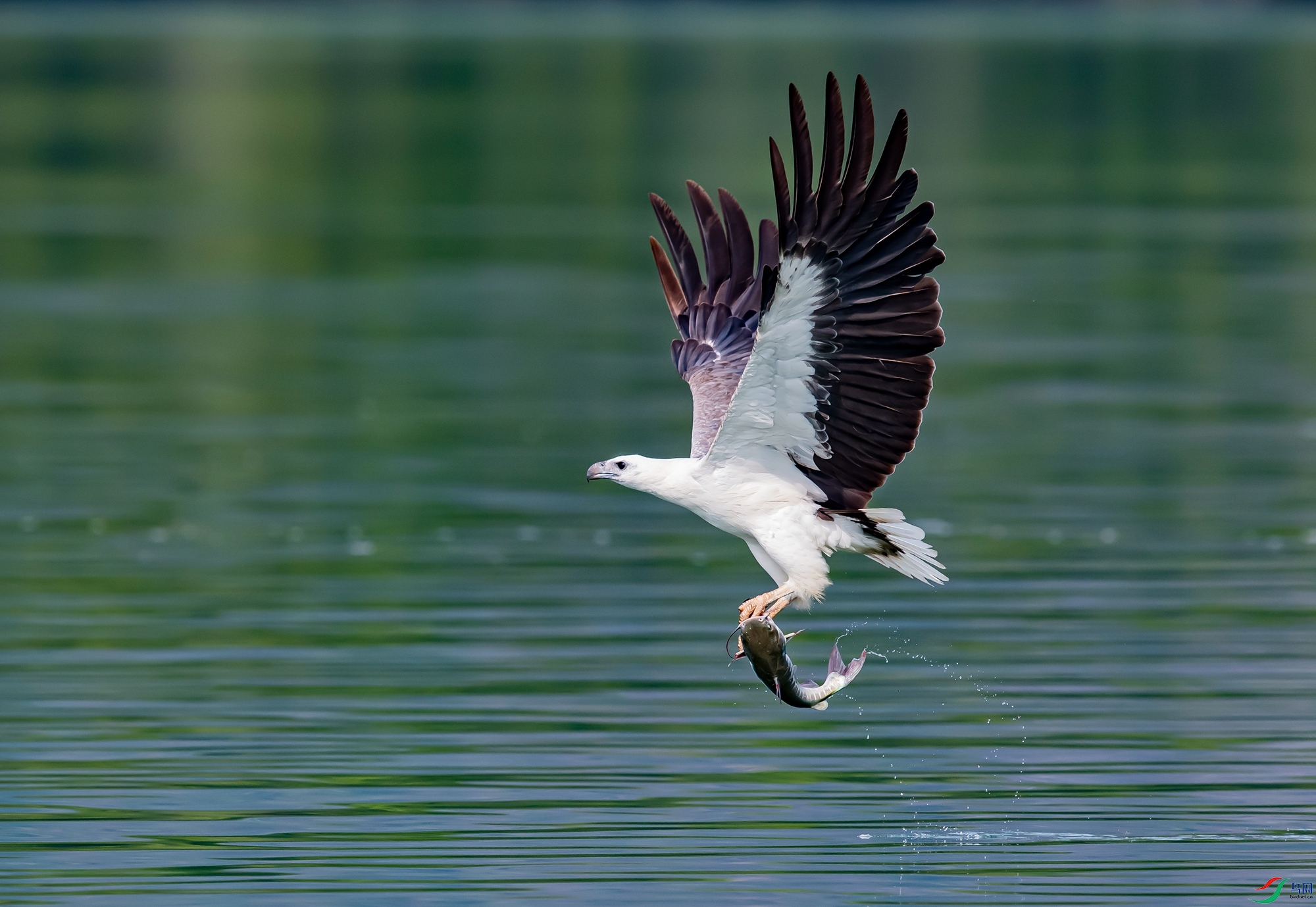 DSC_4459.jpg