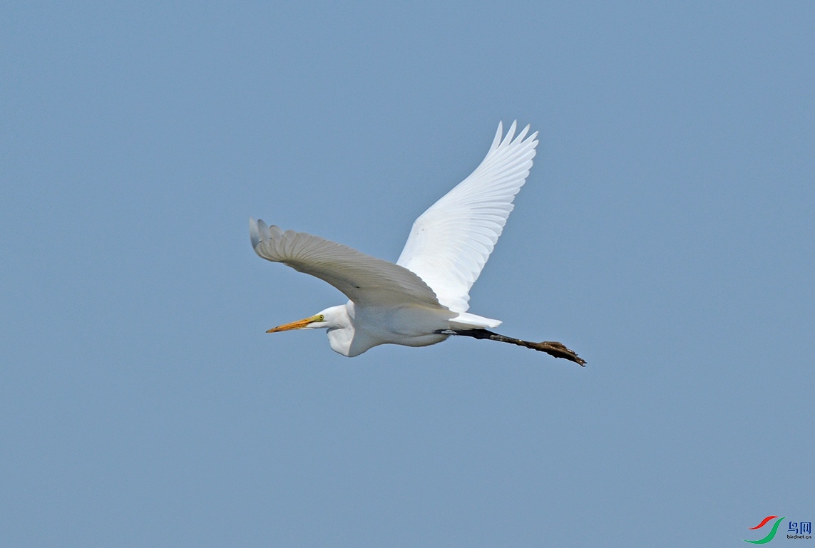 DSC_0216.jpg