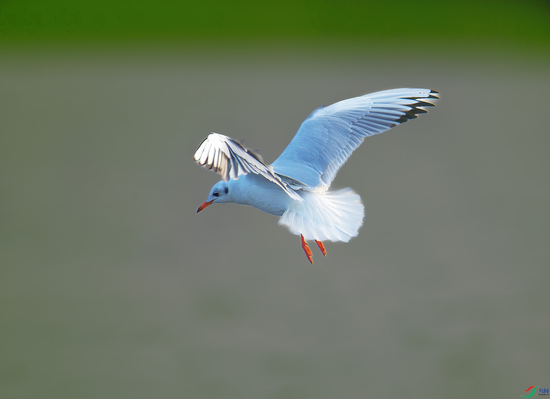 DSC_0102 ����.jpg