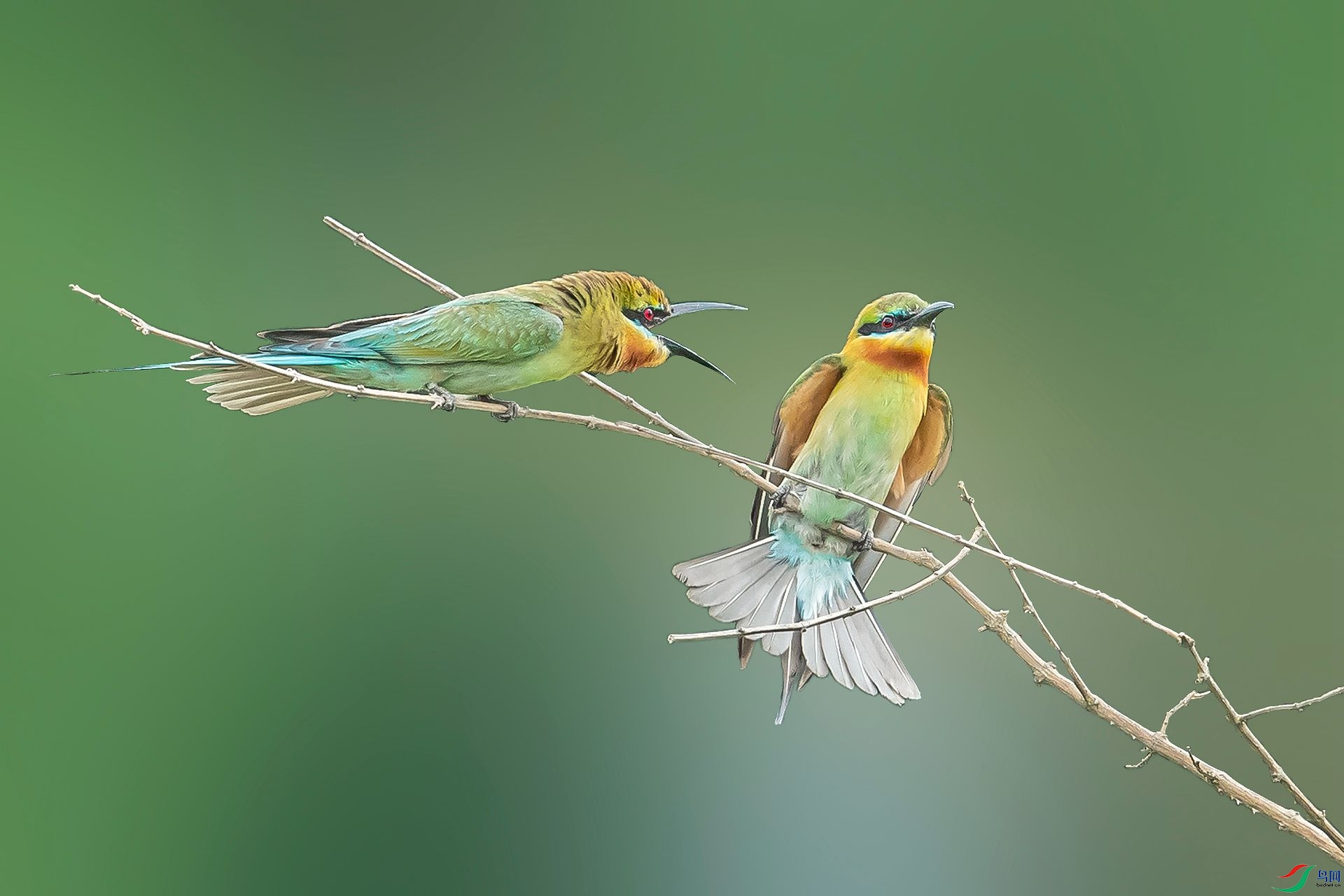 aaaDSC_0020.jpg