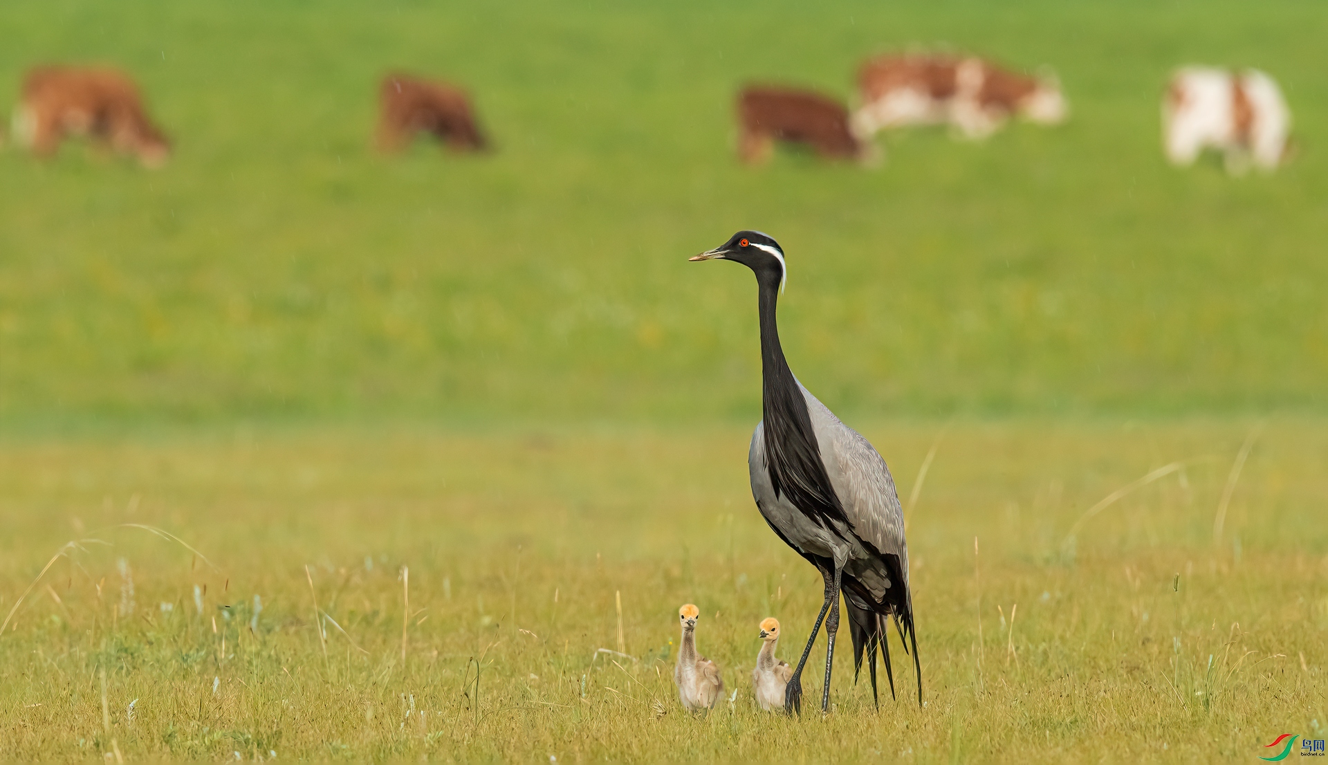 _DSC8363==1w.jpg