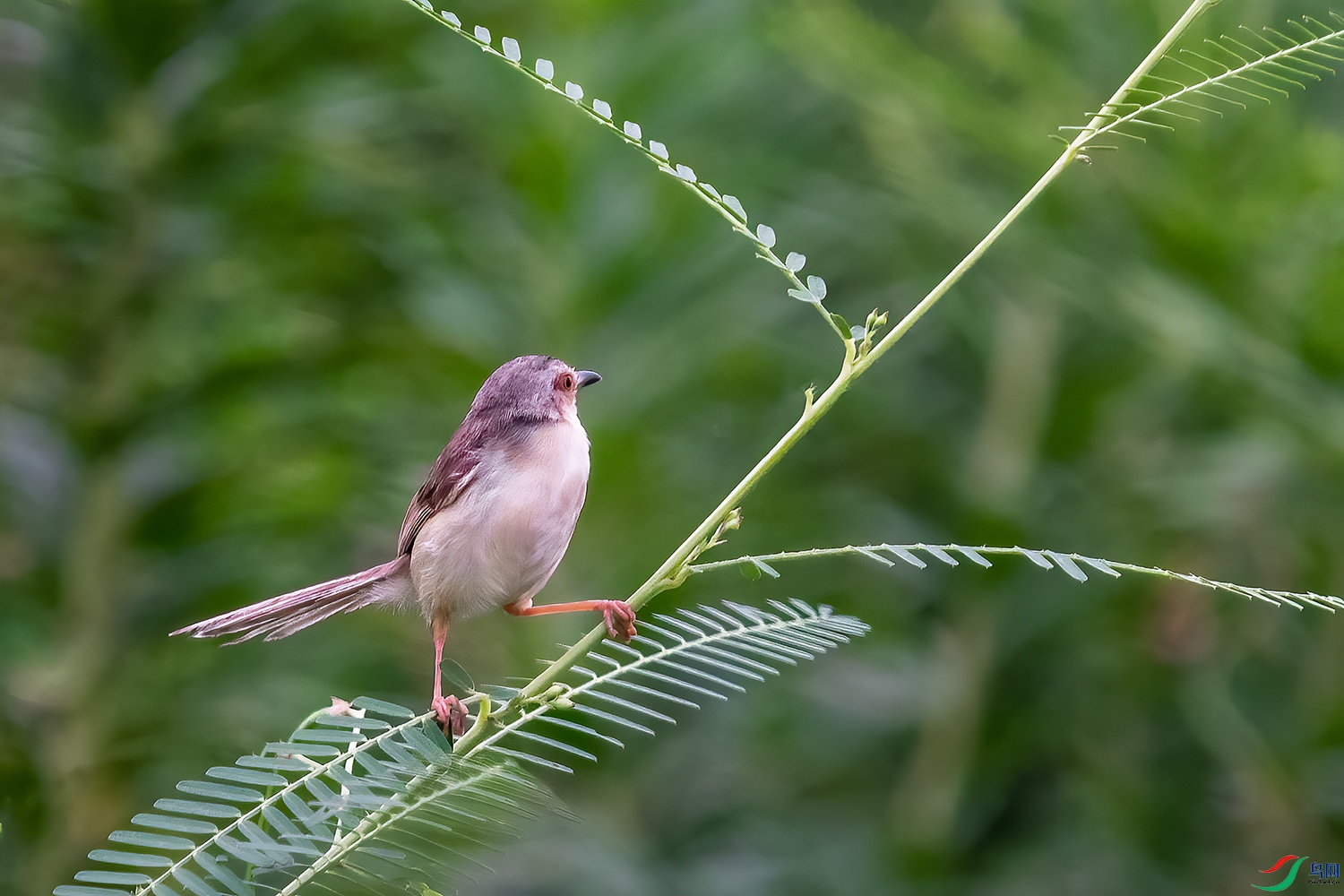 DSC_3485-2.jpg