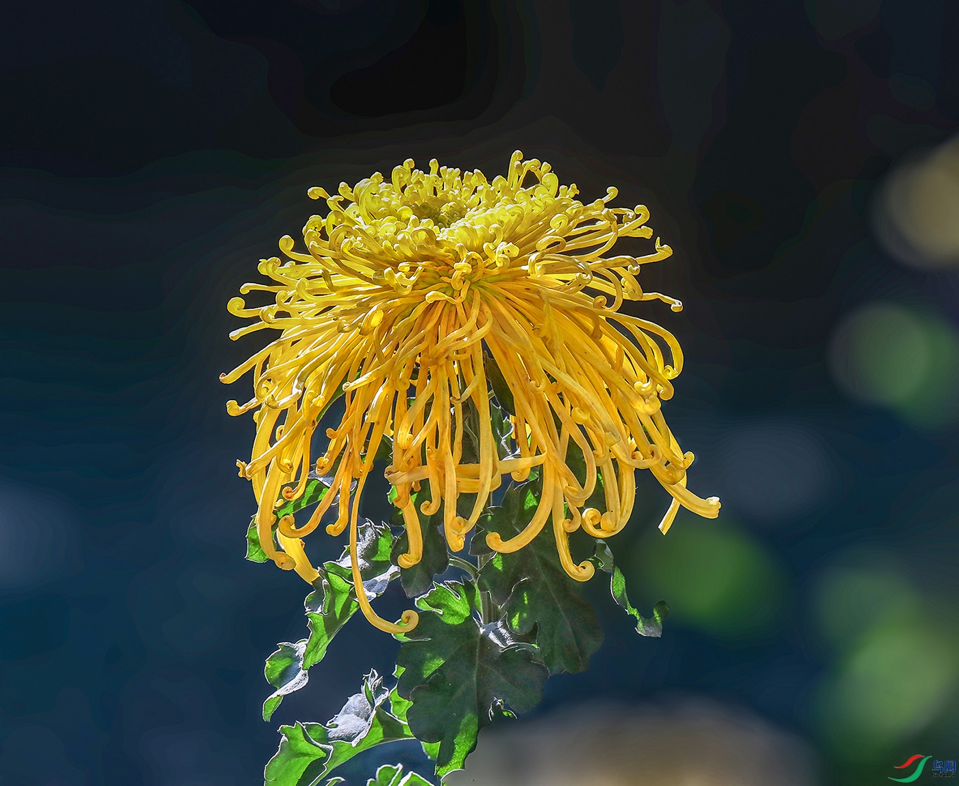 00000IMG_5562 ����5000k0.jpg