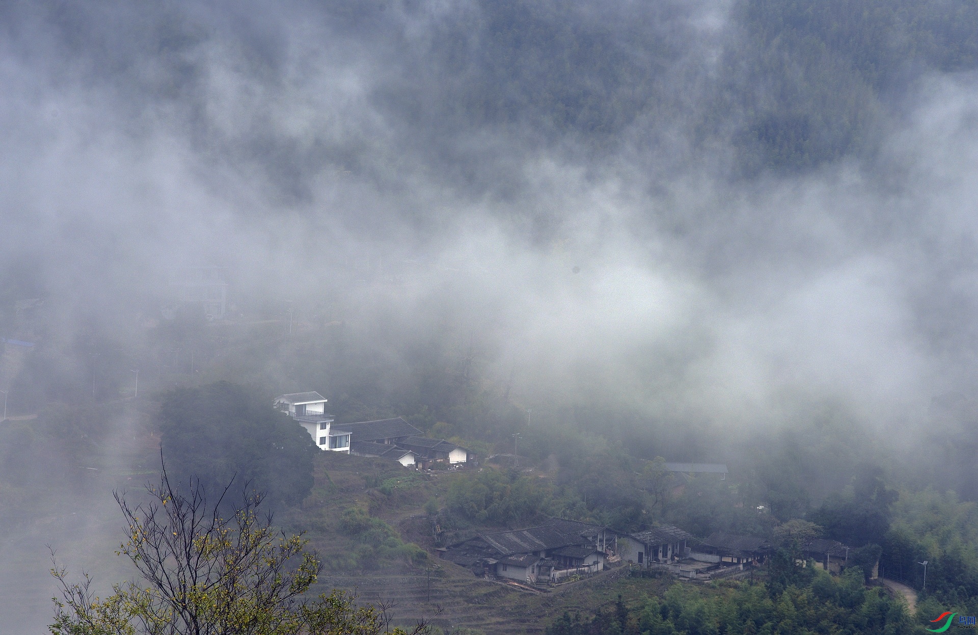 D8I_2543.jpg