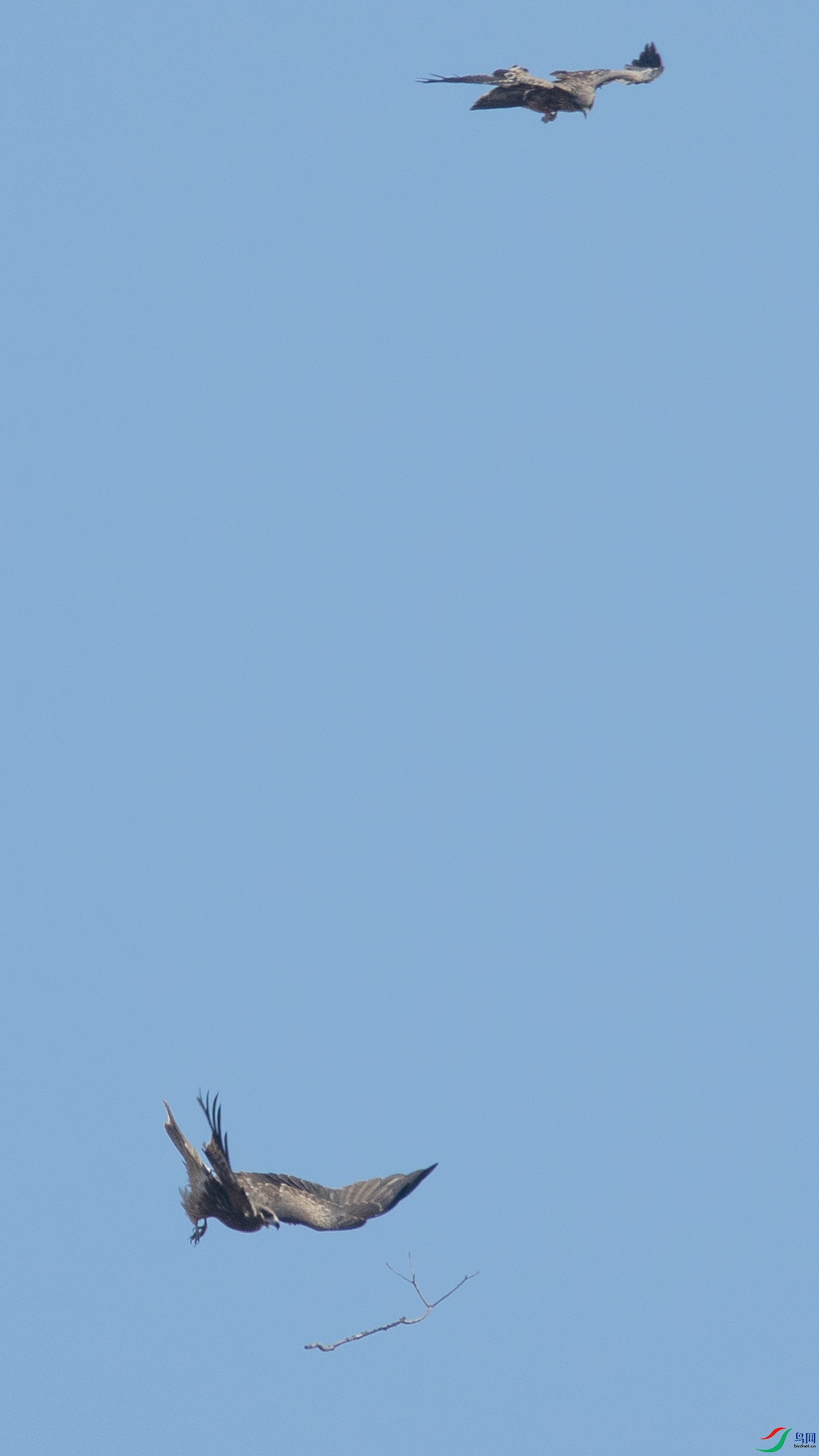 DSC04055_����.jpg