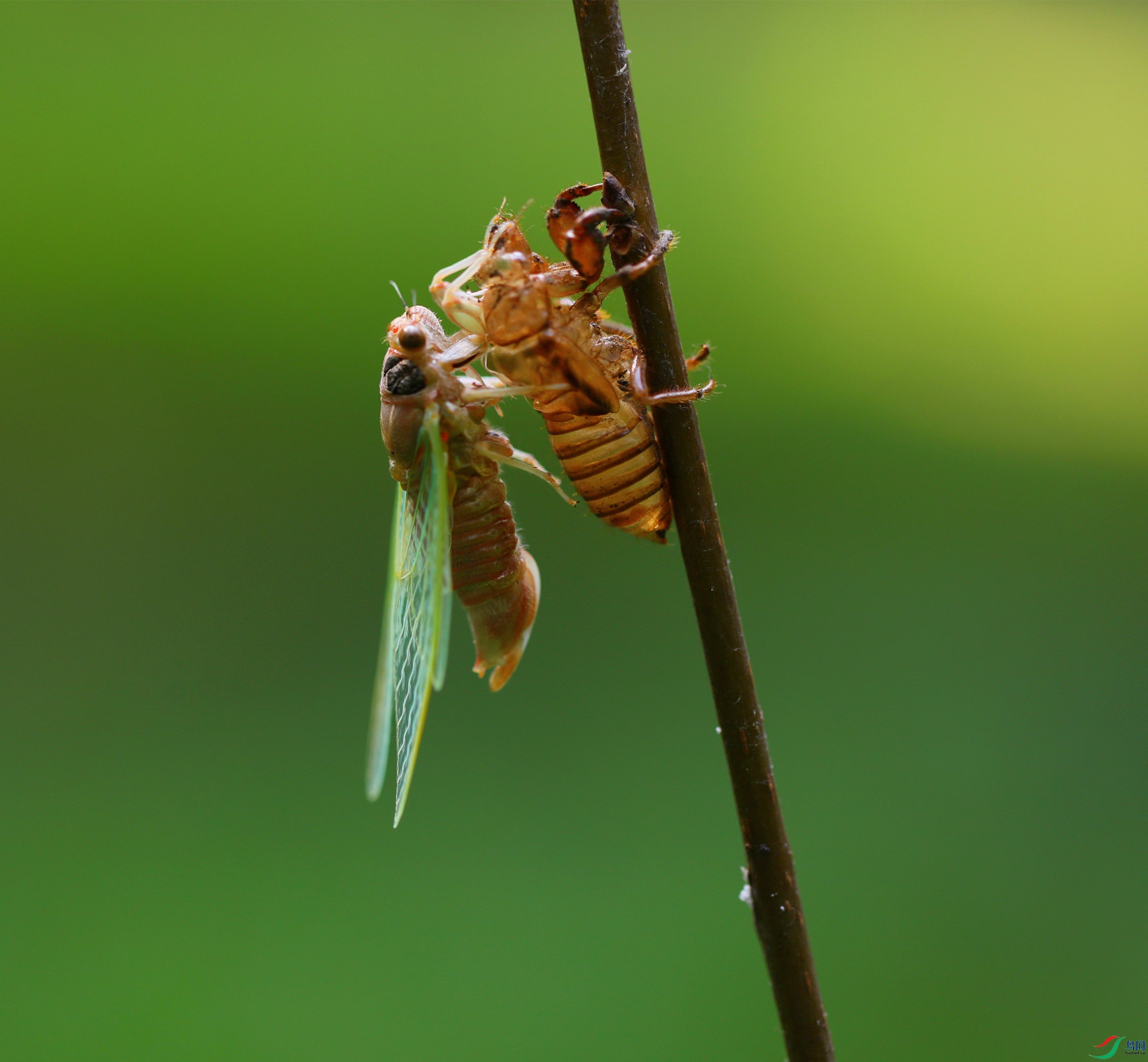 EC6A1994_����_����.jpg