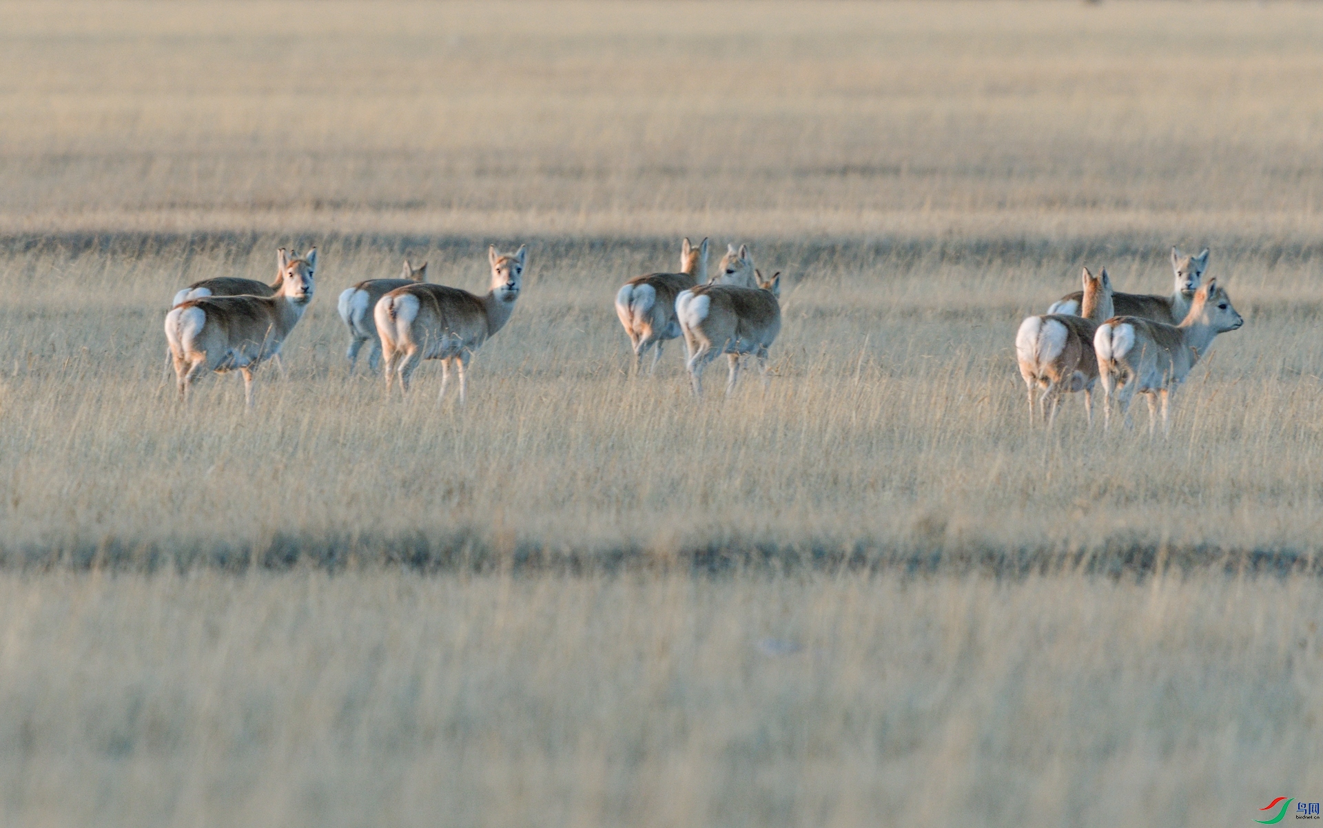 _DSC0165 - ����_����.jpg